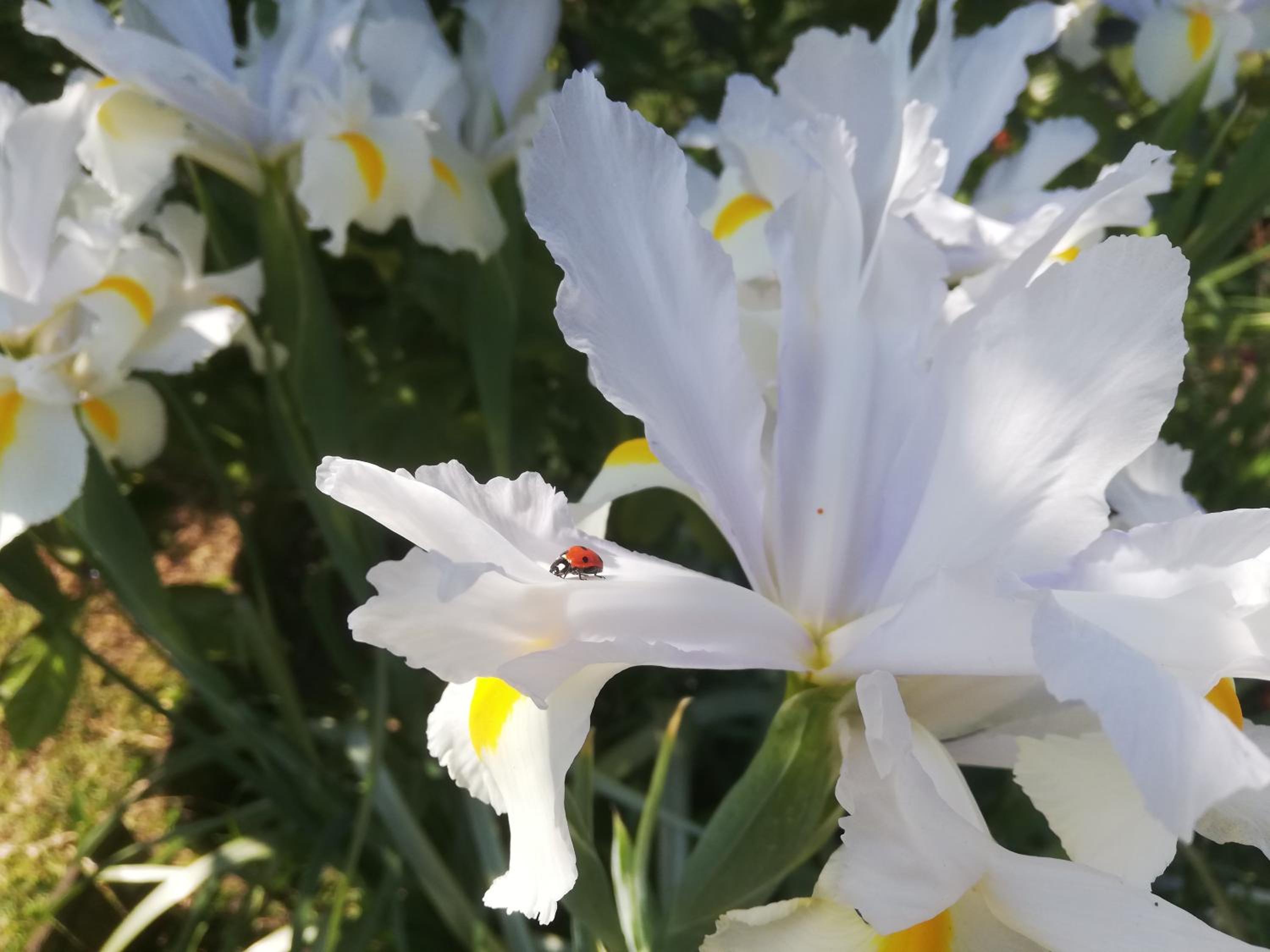 A Quinta das Bolboretas photo 5