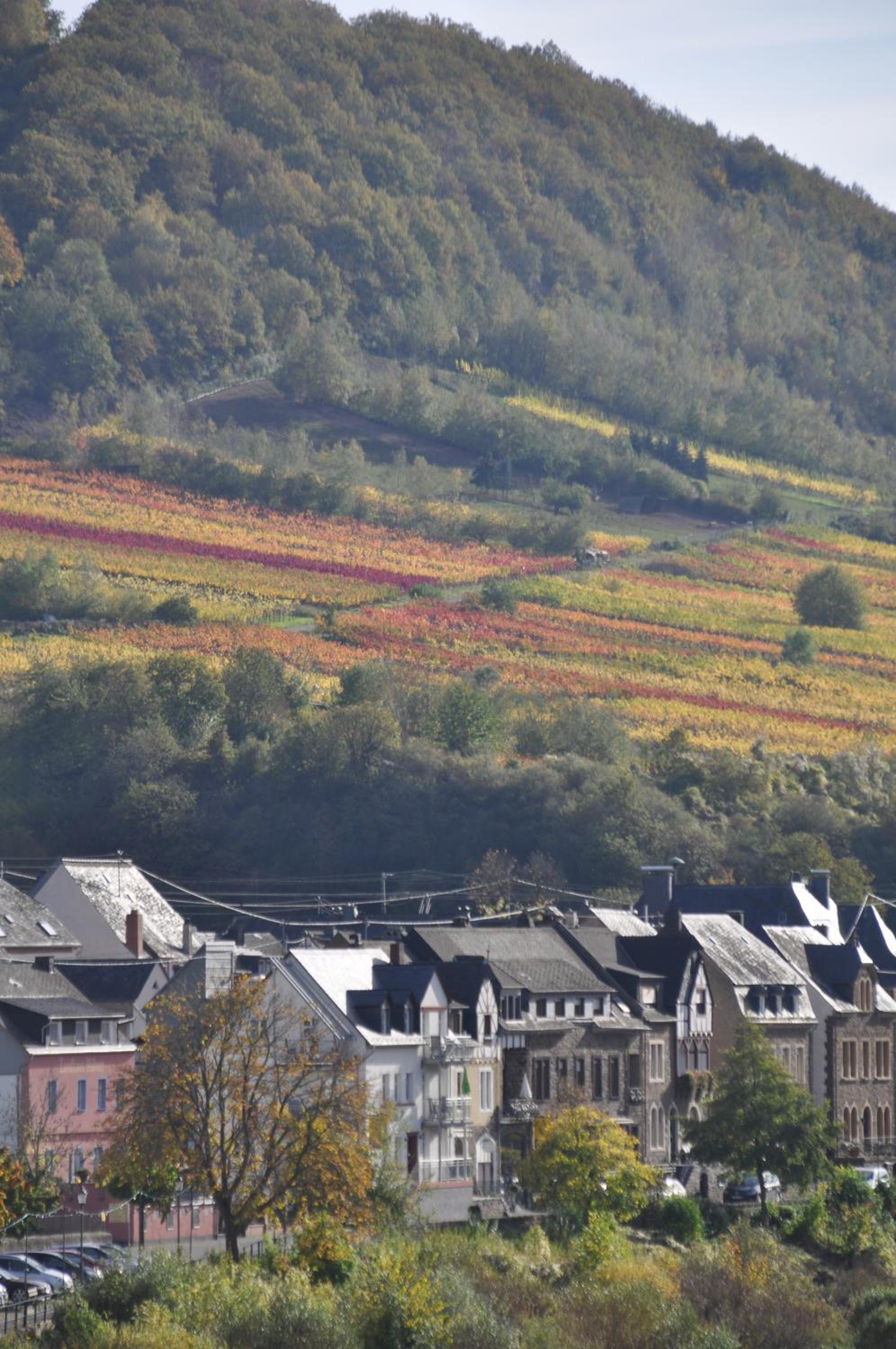 Gästezimmer im Weingut Amlinger&Sohn