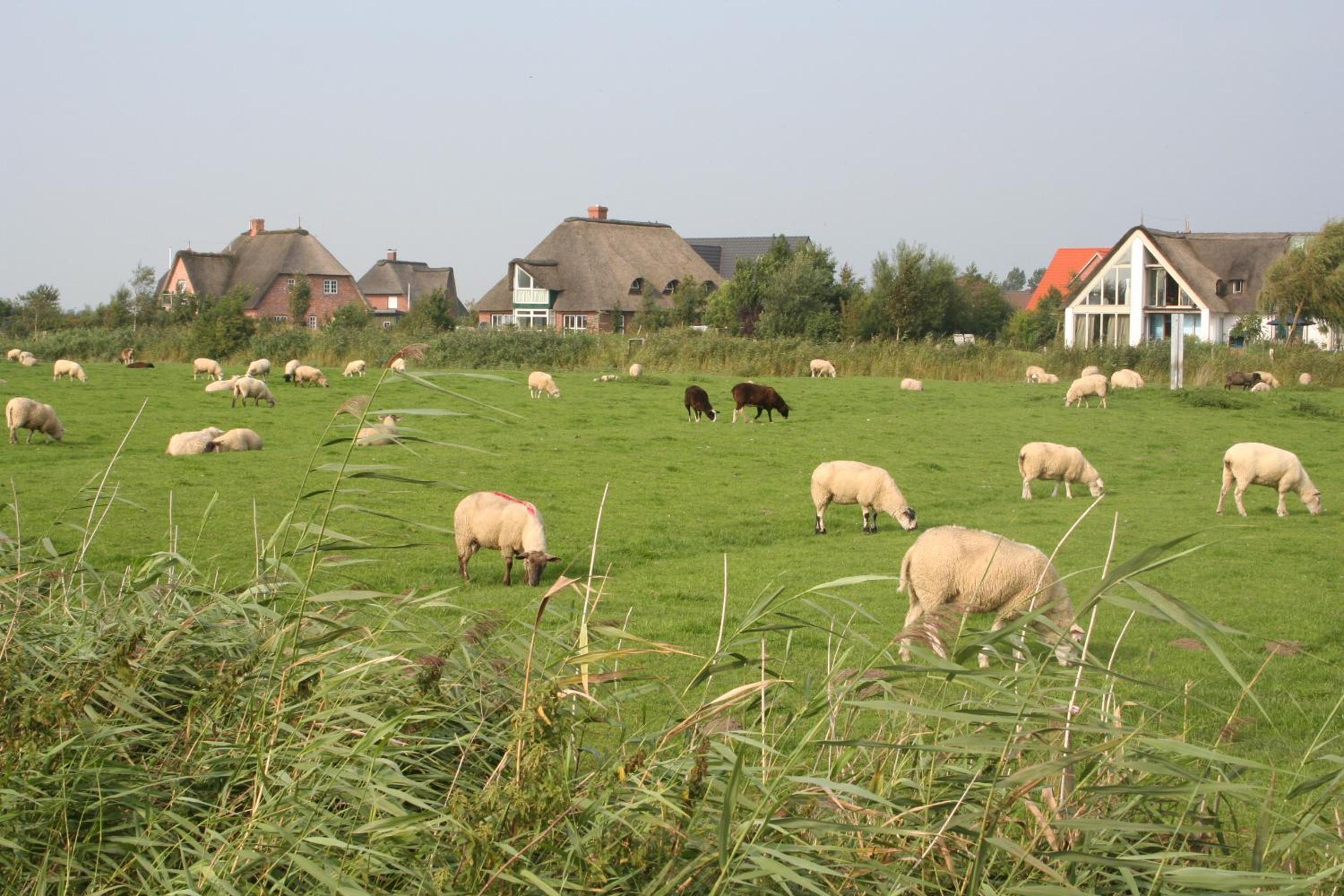 Gästehaus Gudrun