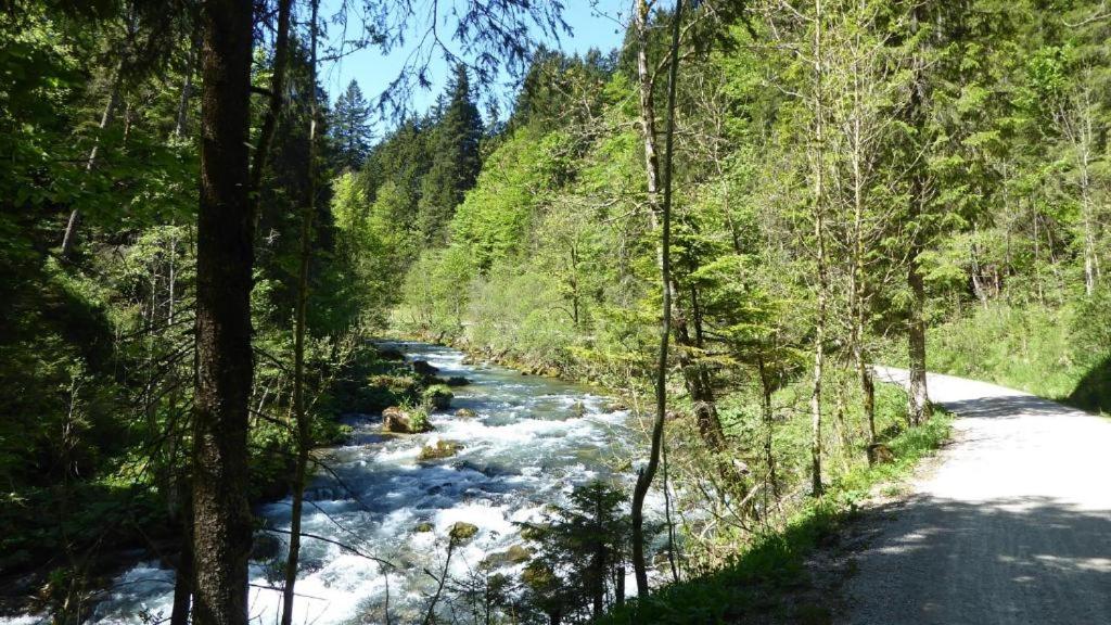 Photo 33