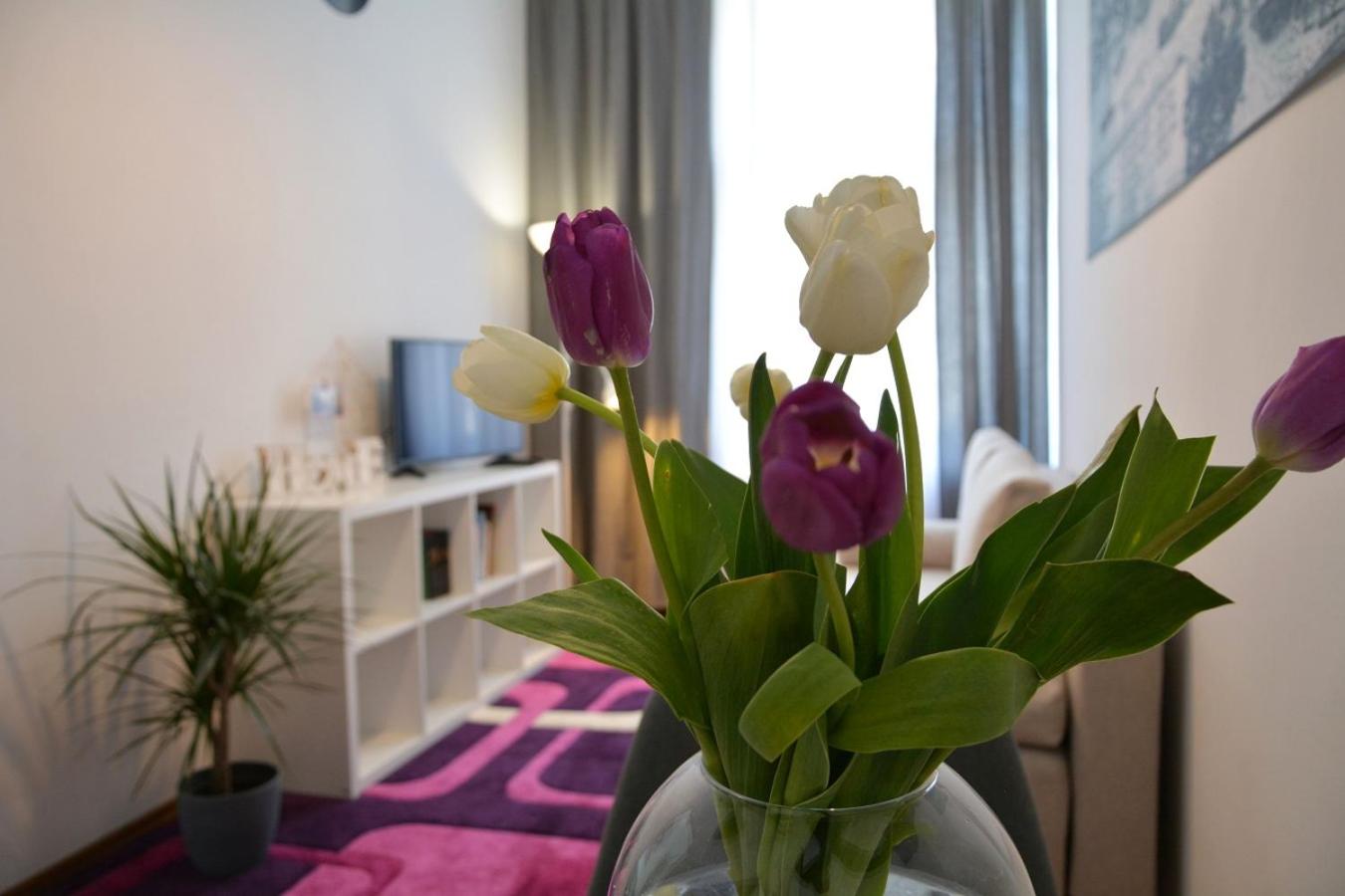 Apartament Staromiejski Zosia view 3