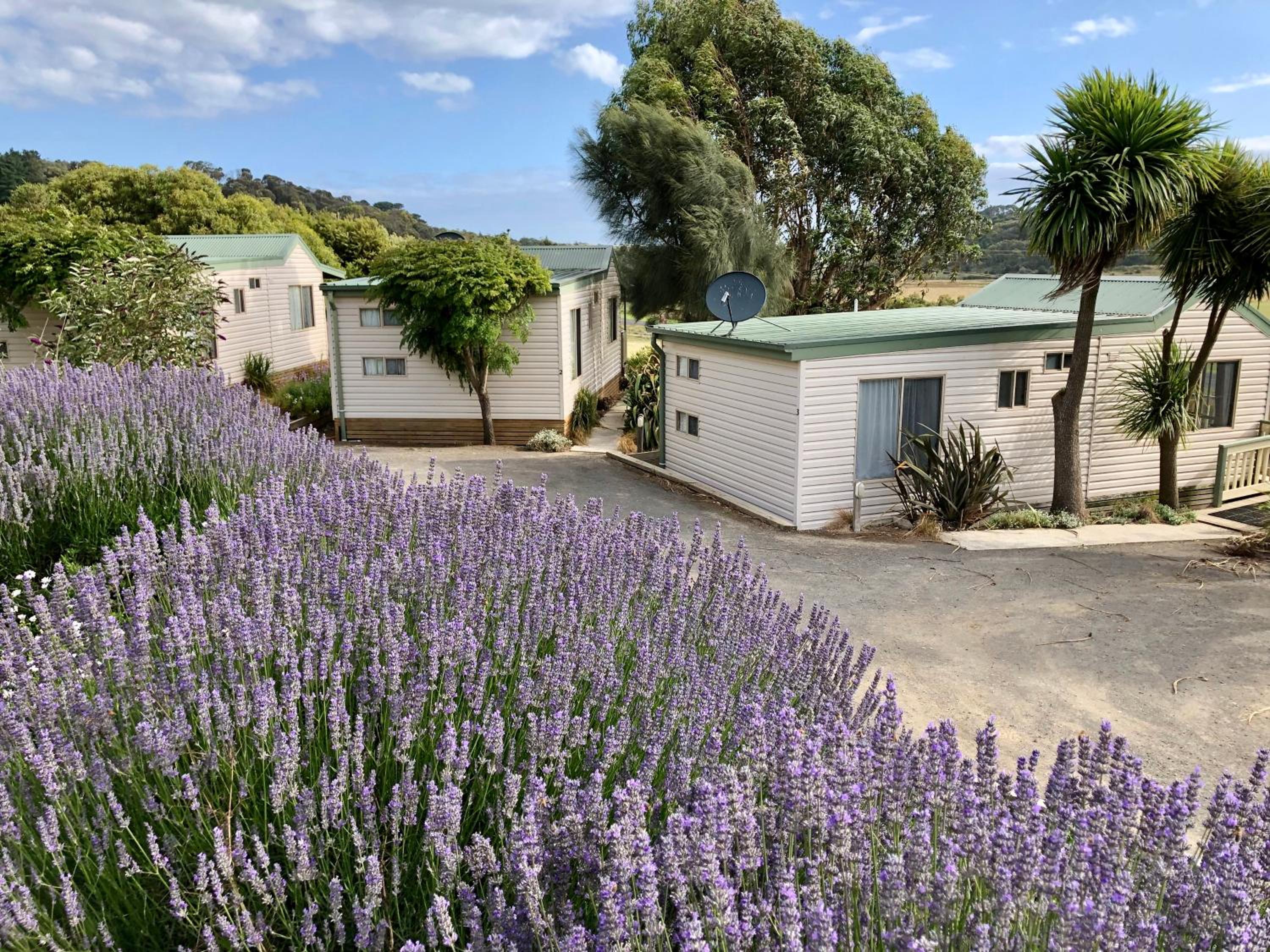 Daysy Hill Country Cottages