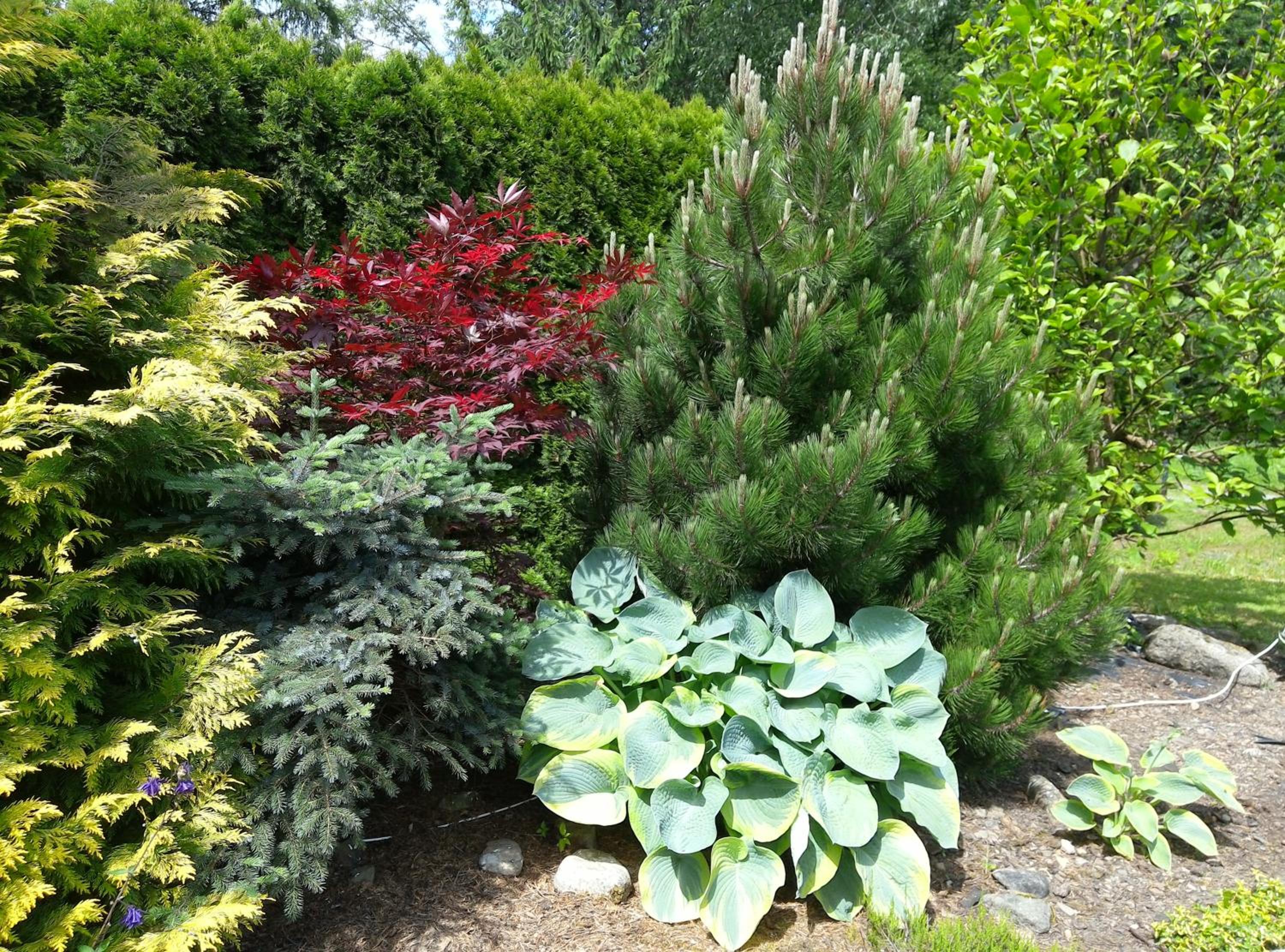Photo 18