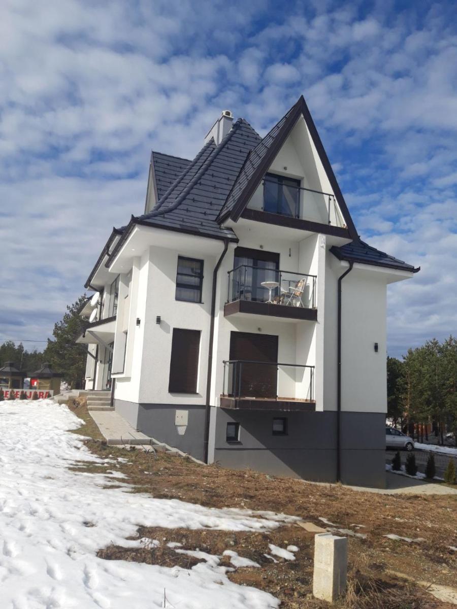 Photo 21