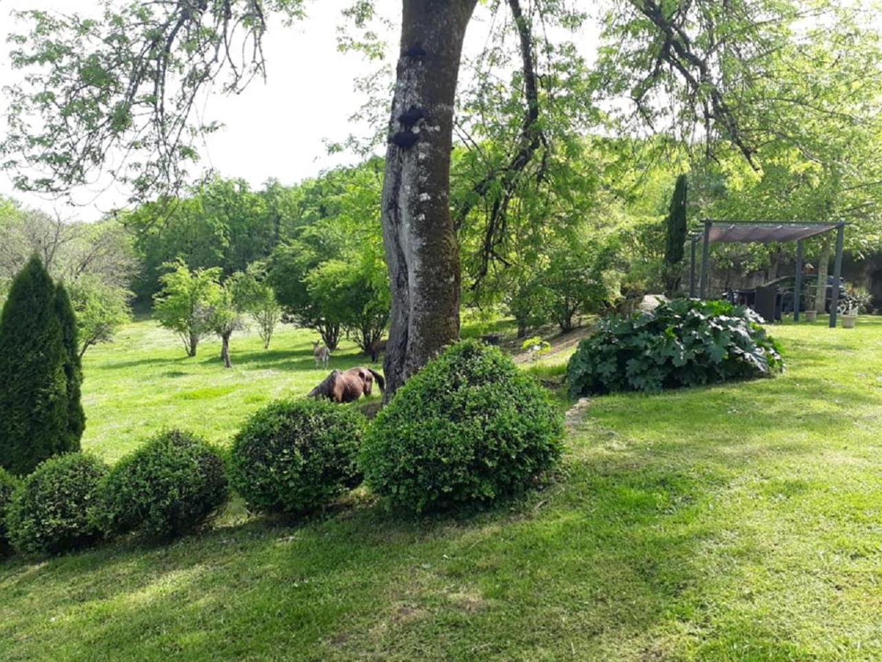 Domaine de la Piale