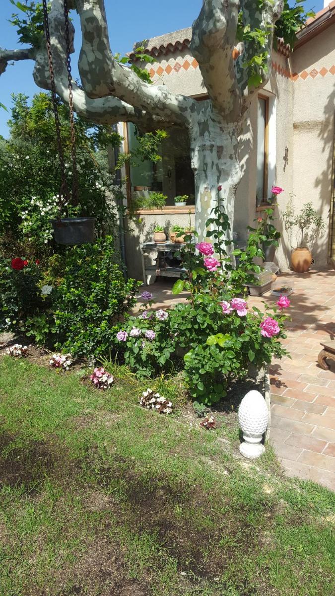 Photo 25