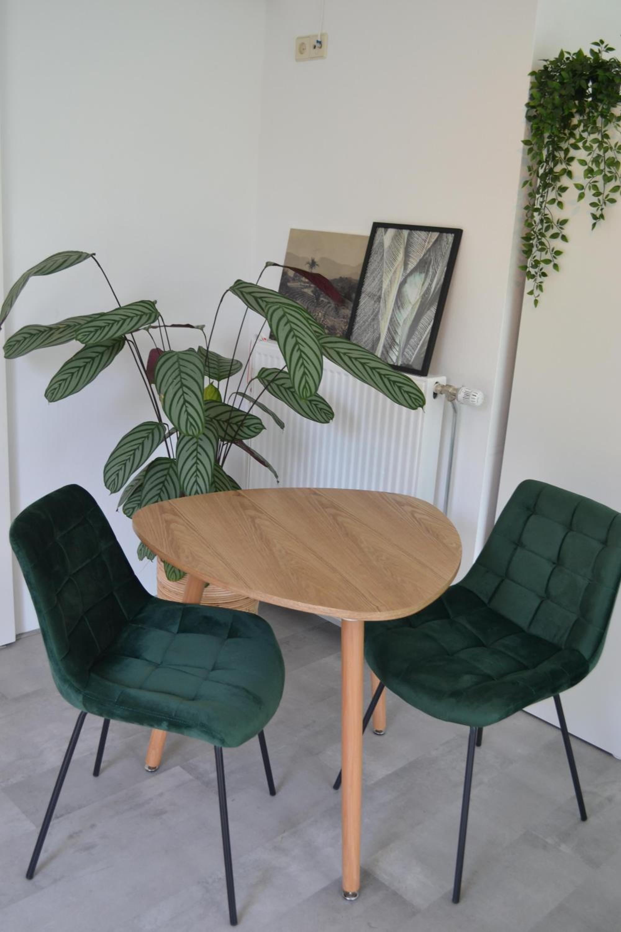 Studio 38 en Zandvoort — other