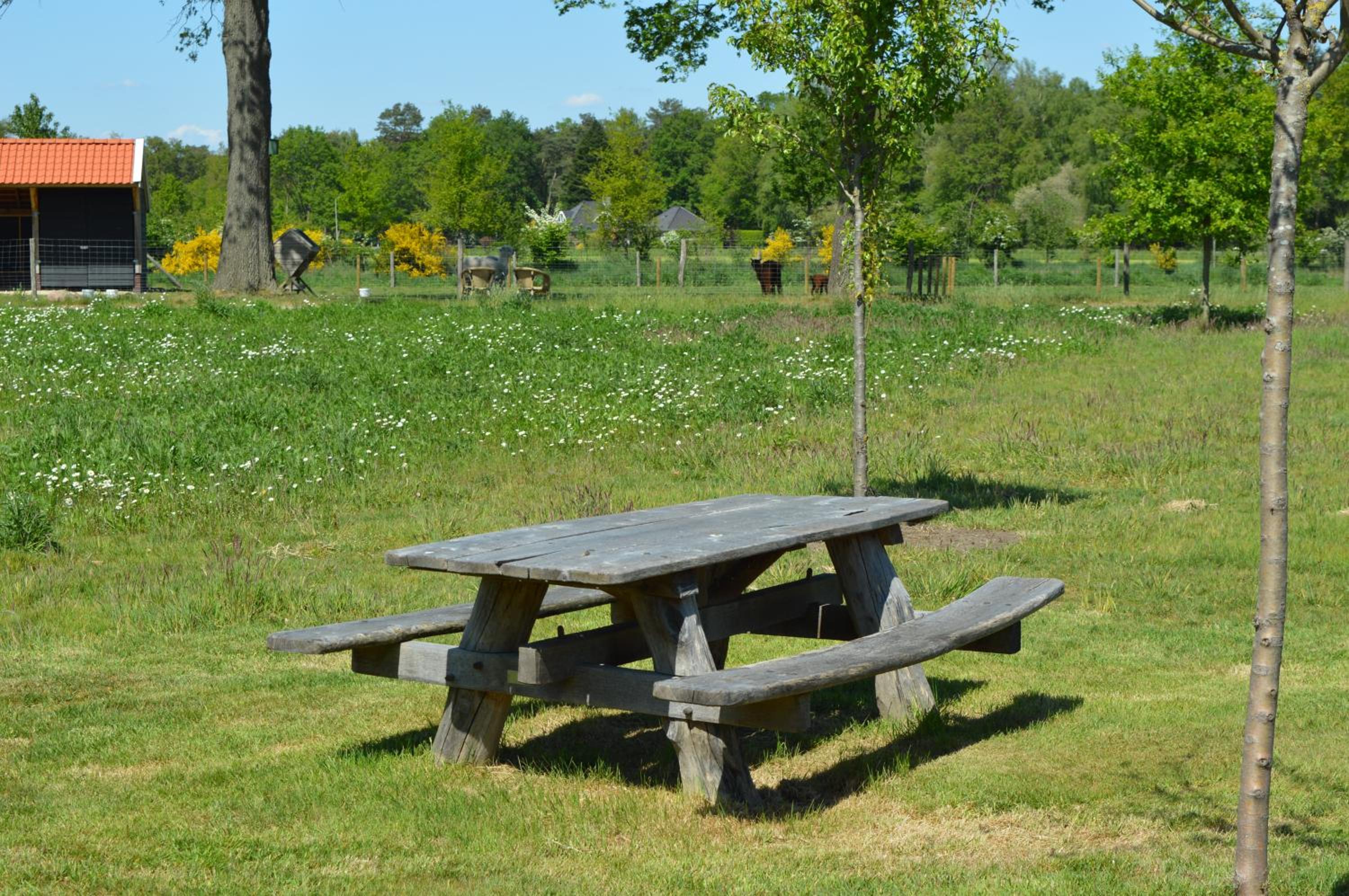 Erve Grootenhuys view 5