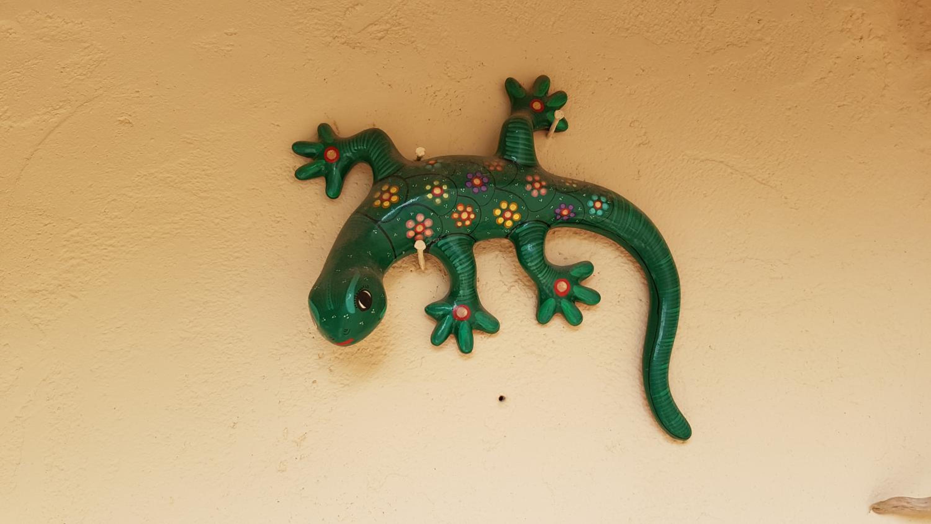 la souquette, photo 38