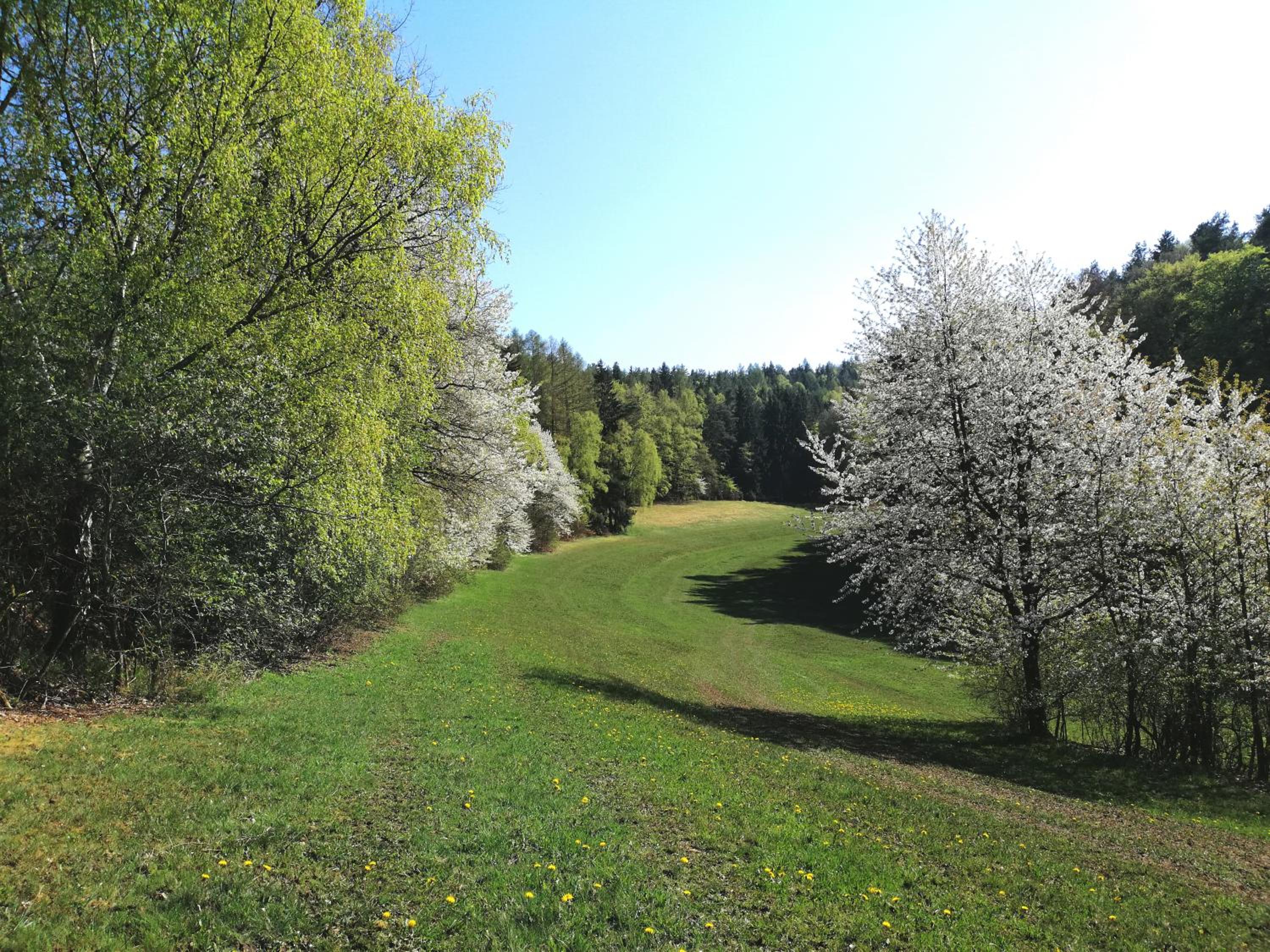 Ferienwohnung Wilhelm view 3