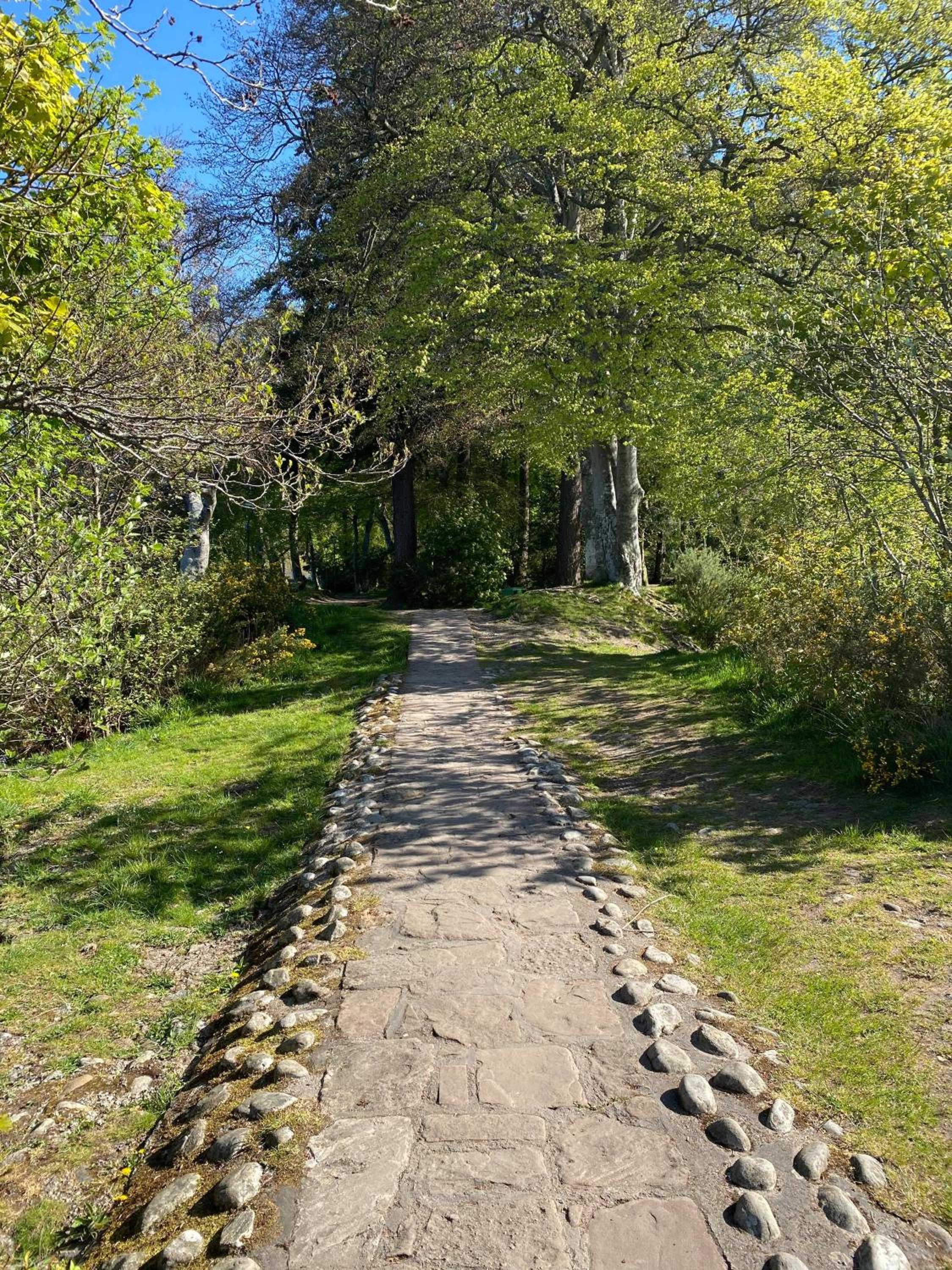 Photo 21