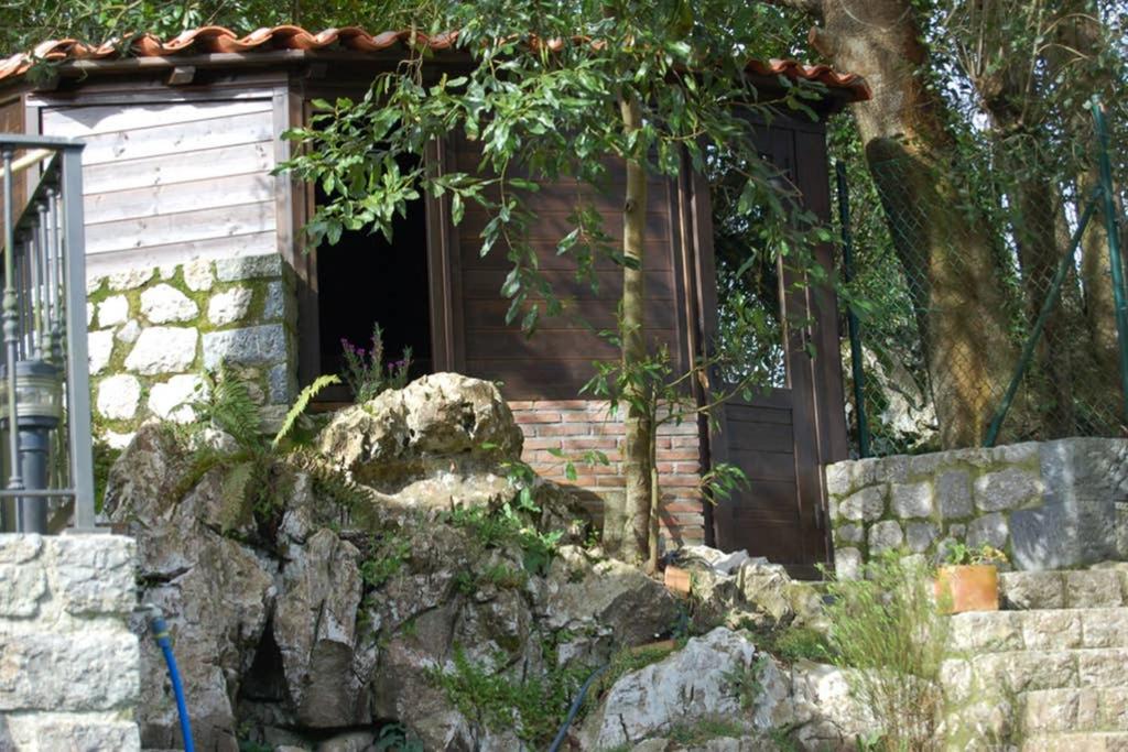 Photo 69