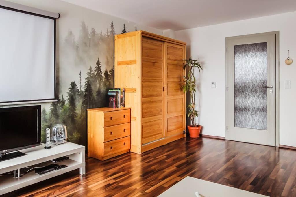 Rodinný apartmán v srdci Šumavy view 4