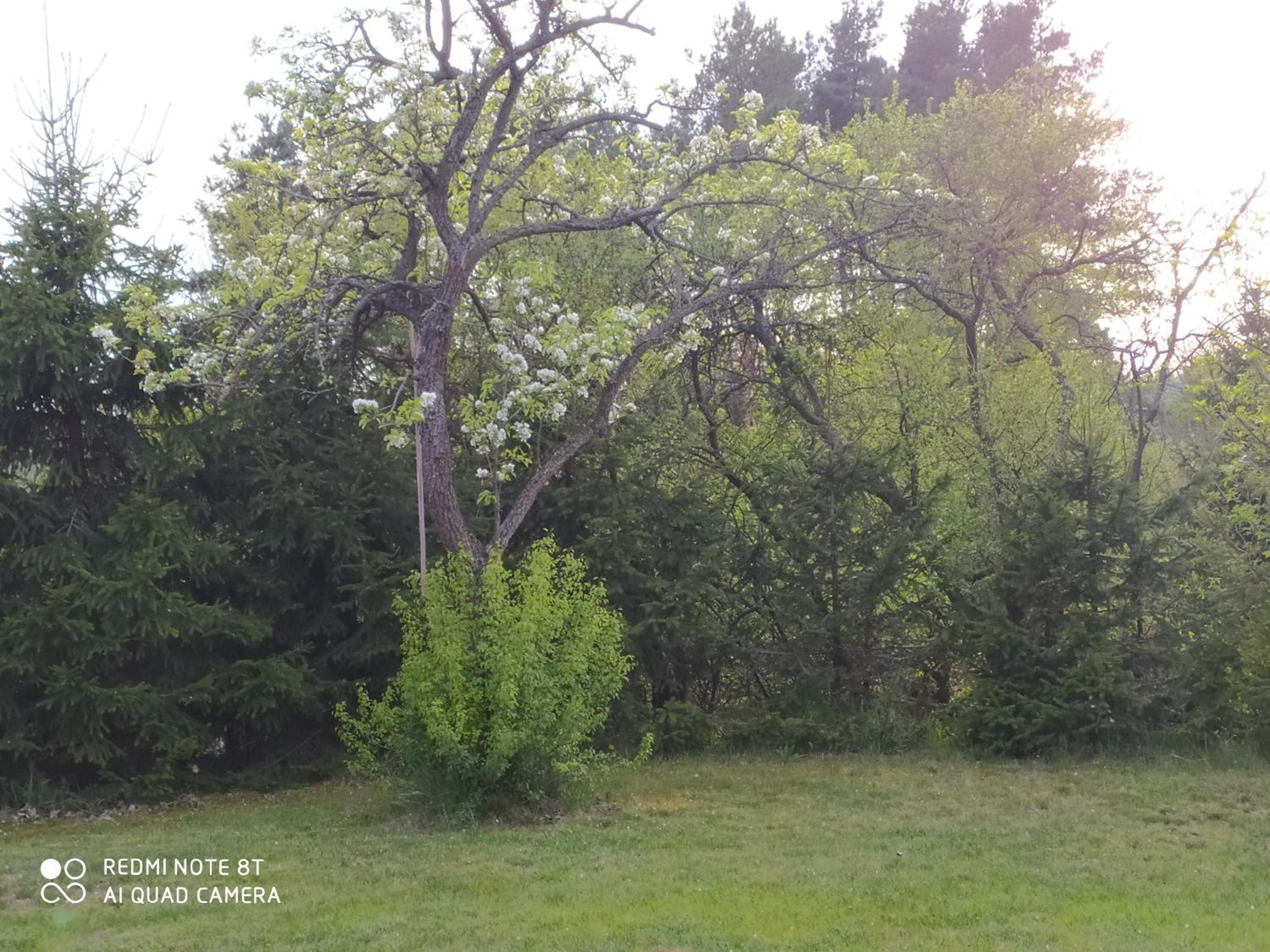 Photo 35