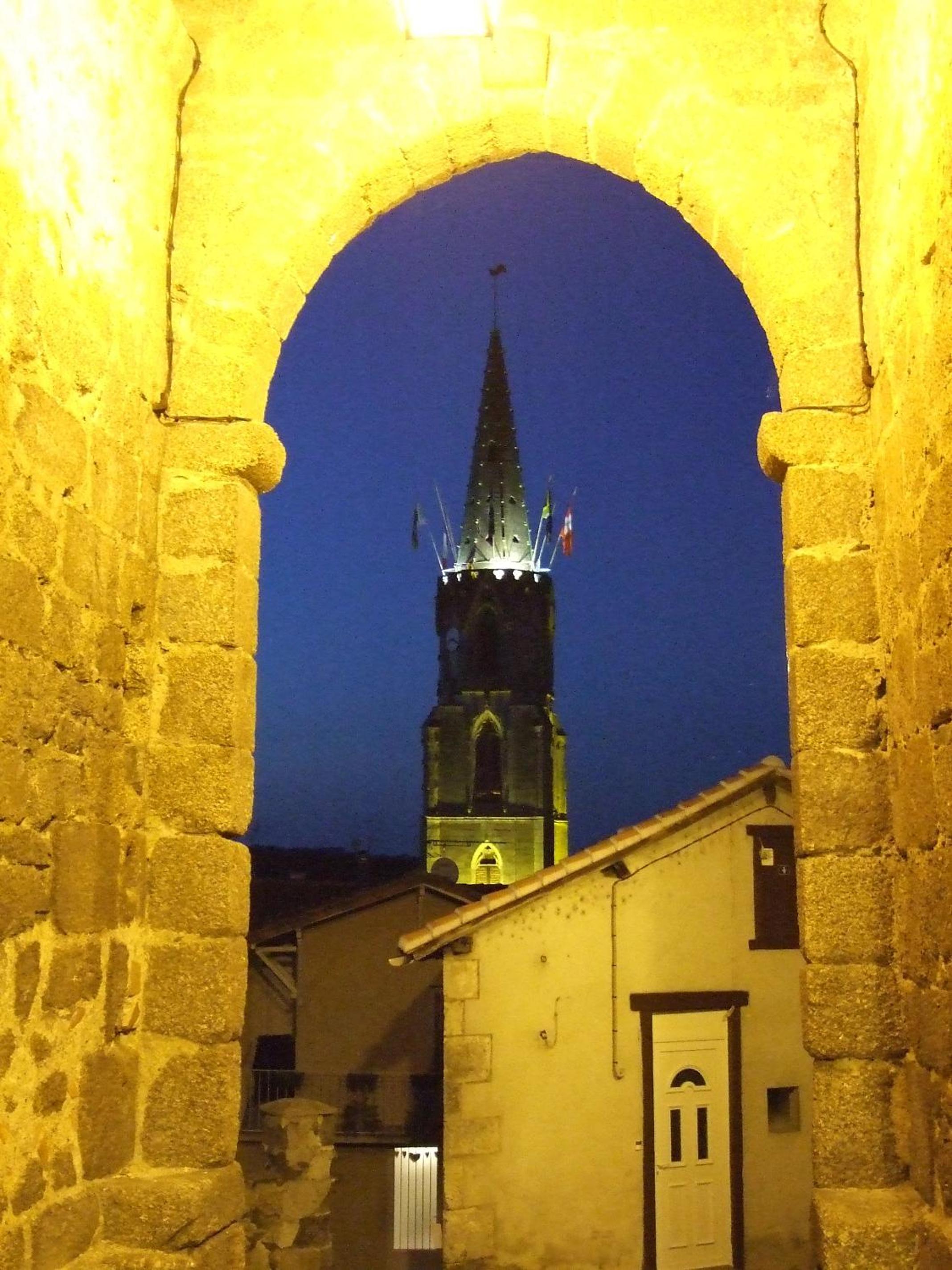 Photo 15