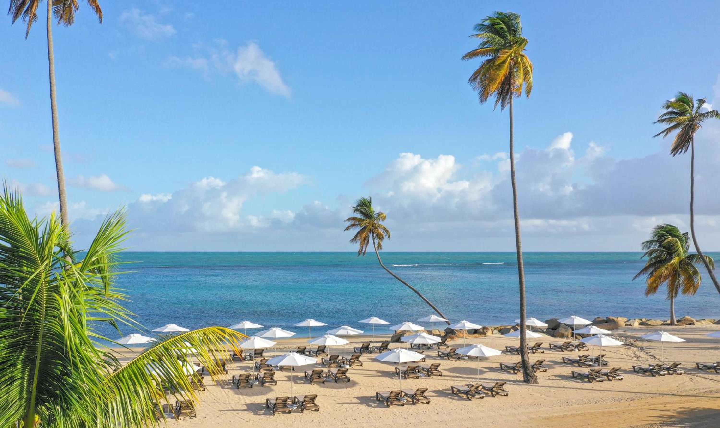 Hyatt Regency Grand Reserve Puerto Rico - Property Image 50