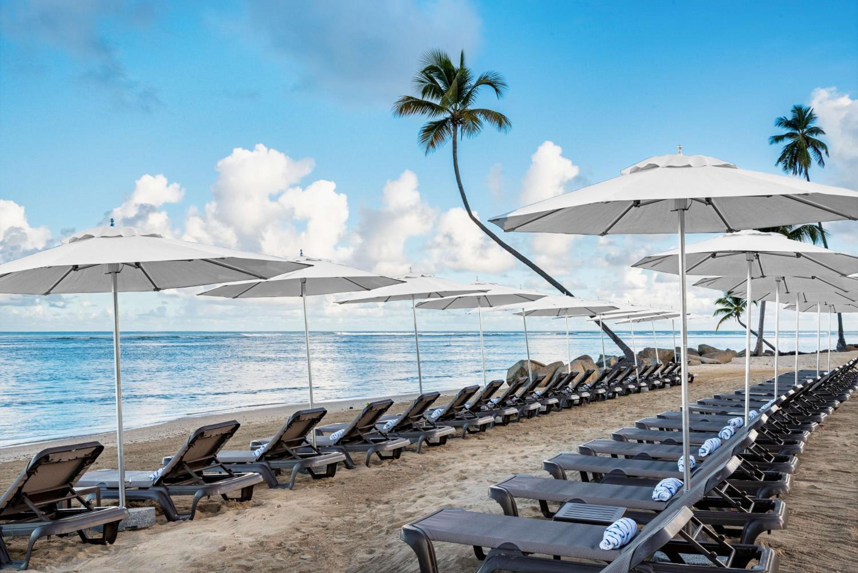 Hyatt Regency Grand Reserve Puerto Rico - Property Image 67