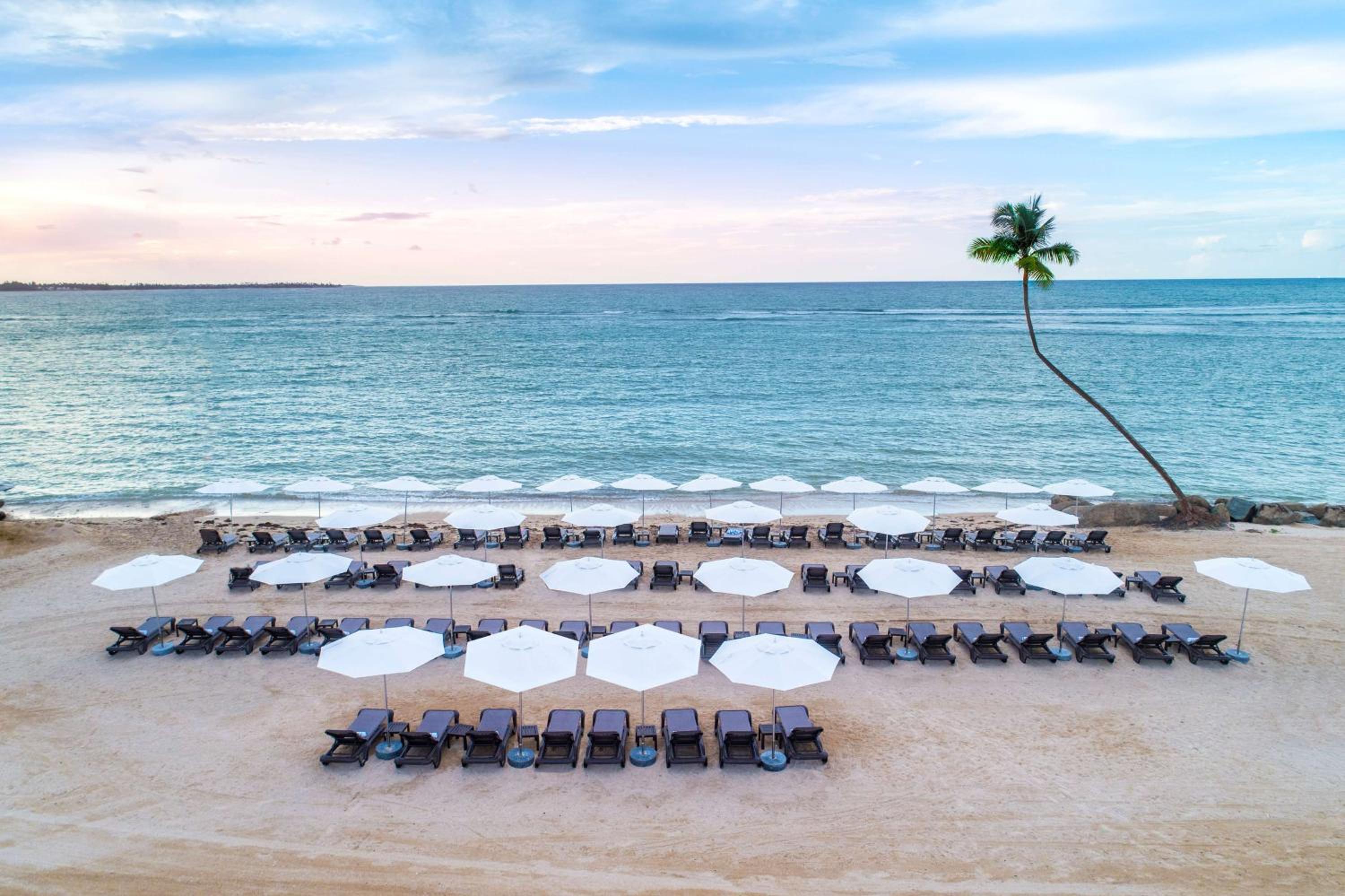 Hyatt Regency Grand Reserve Puerto Rico - Property Image 68