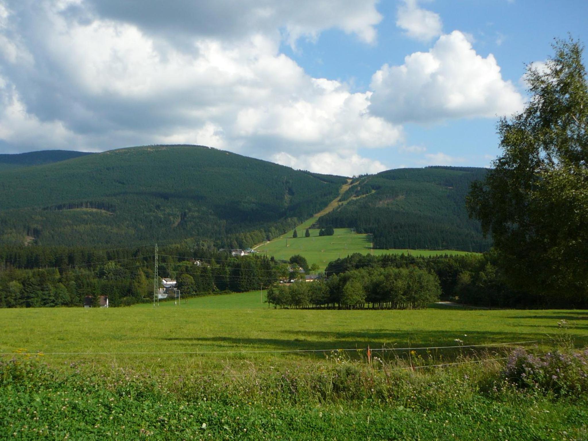 Photo 45