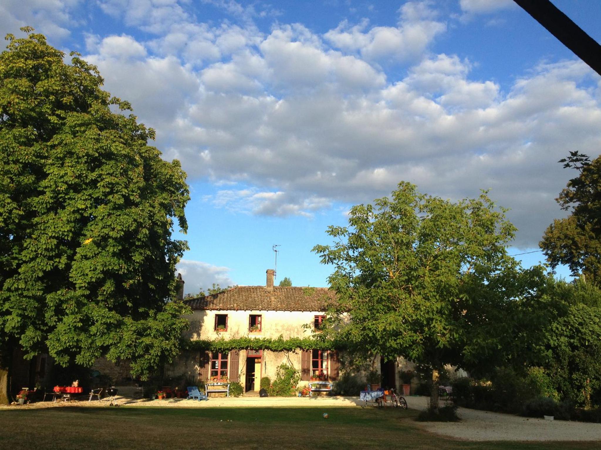 Photo 45