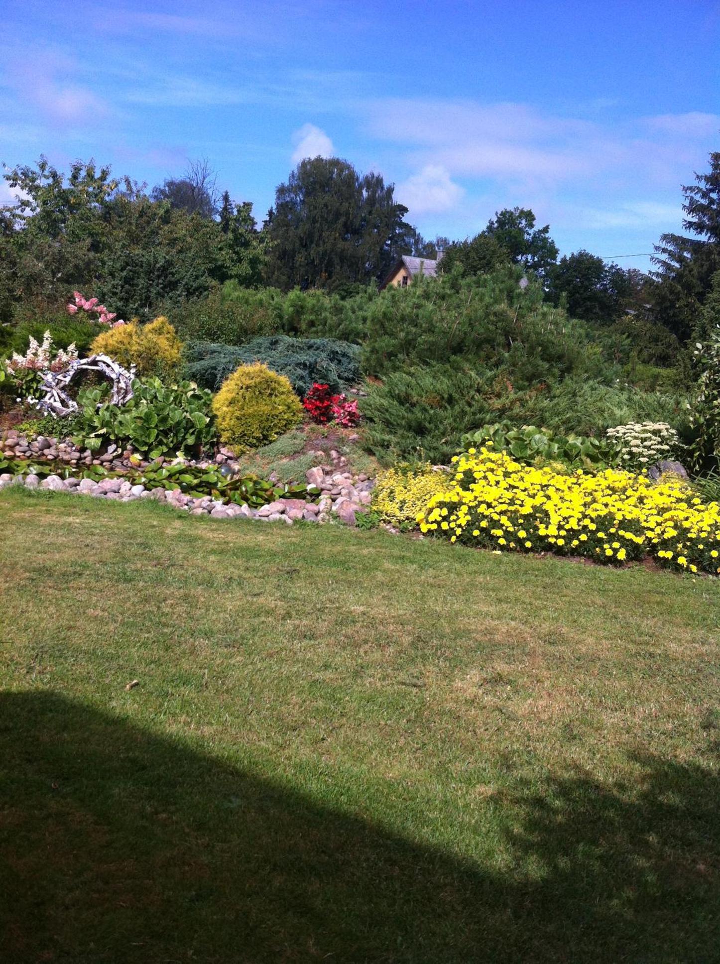 Photo 43