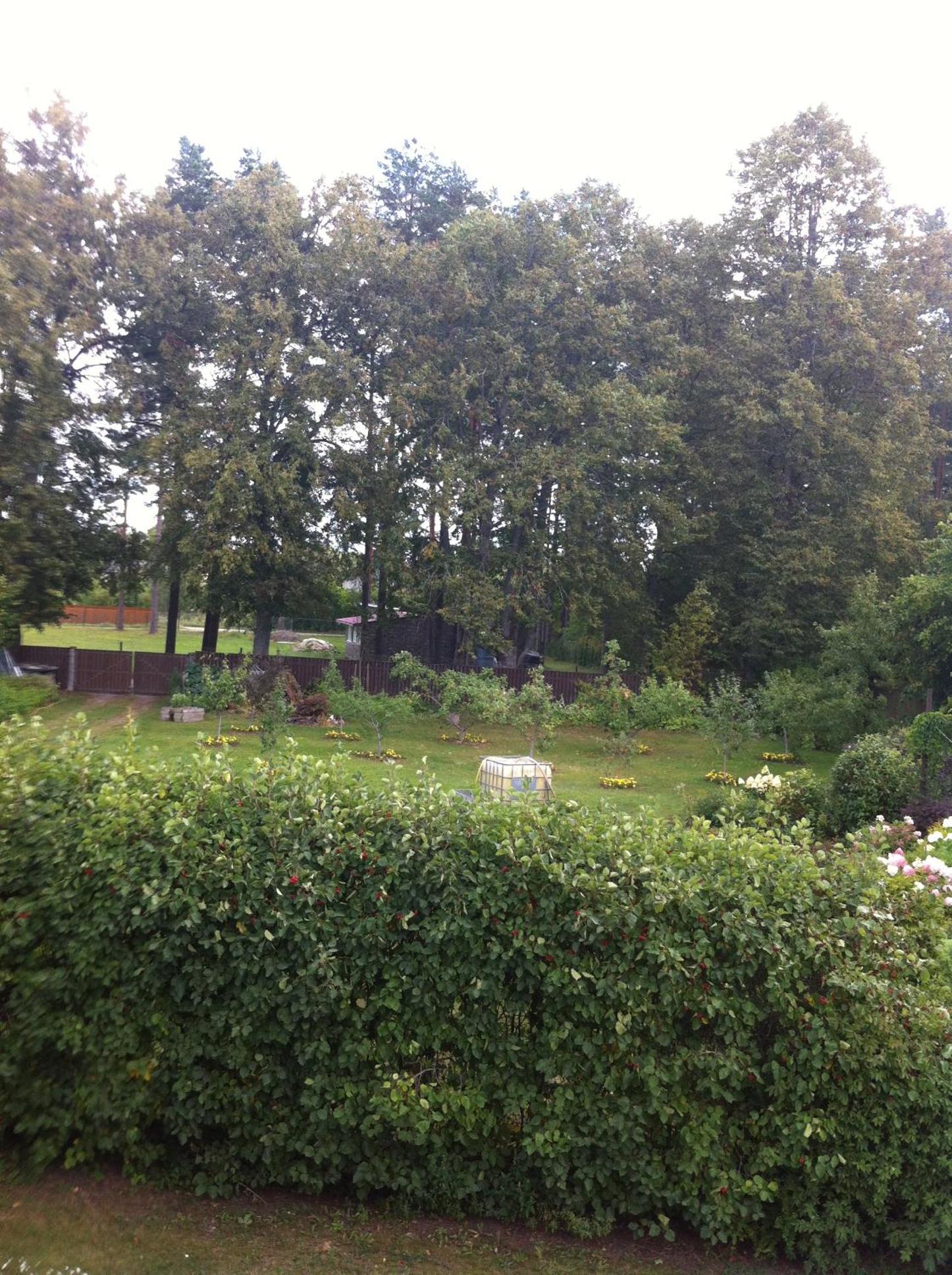 Photo 31