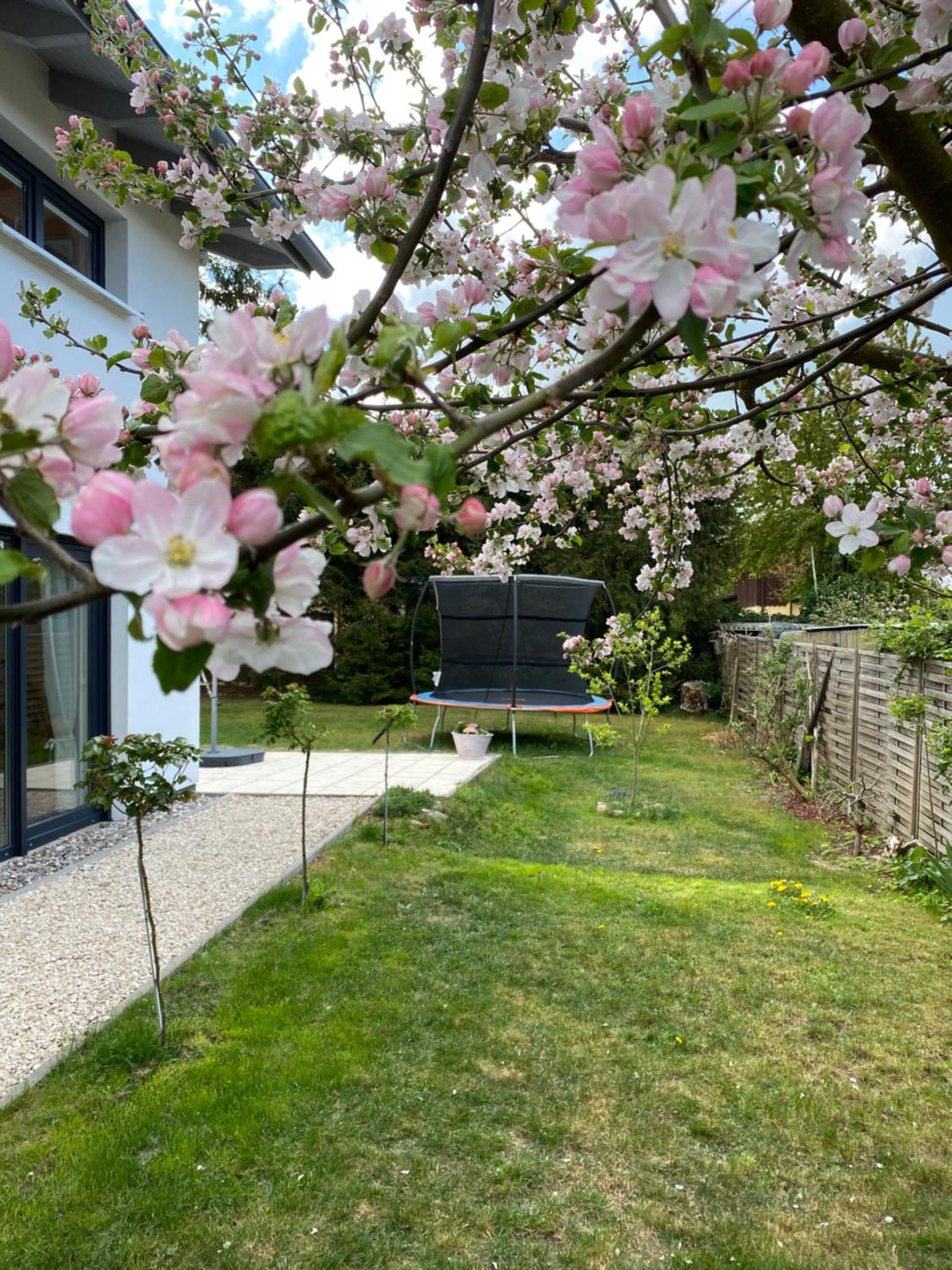 Ferienhaus Frankstraße 5b view 5