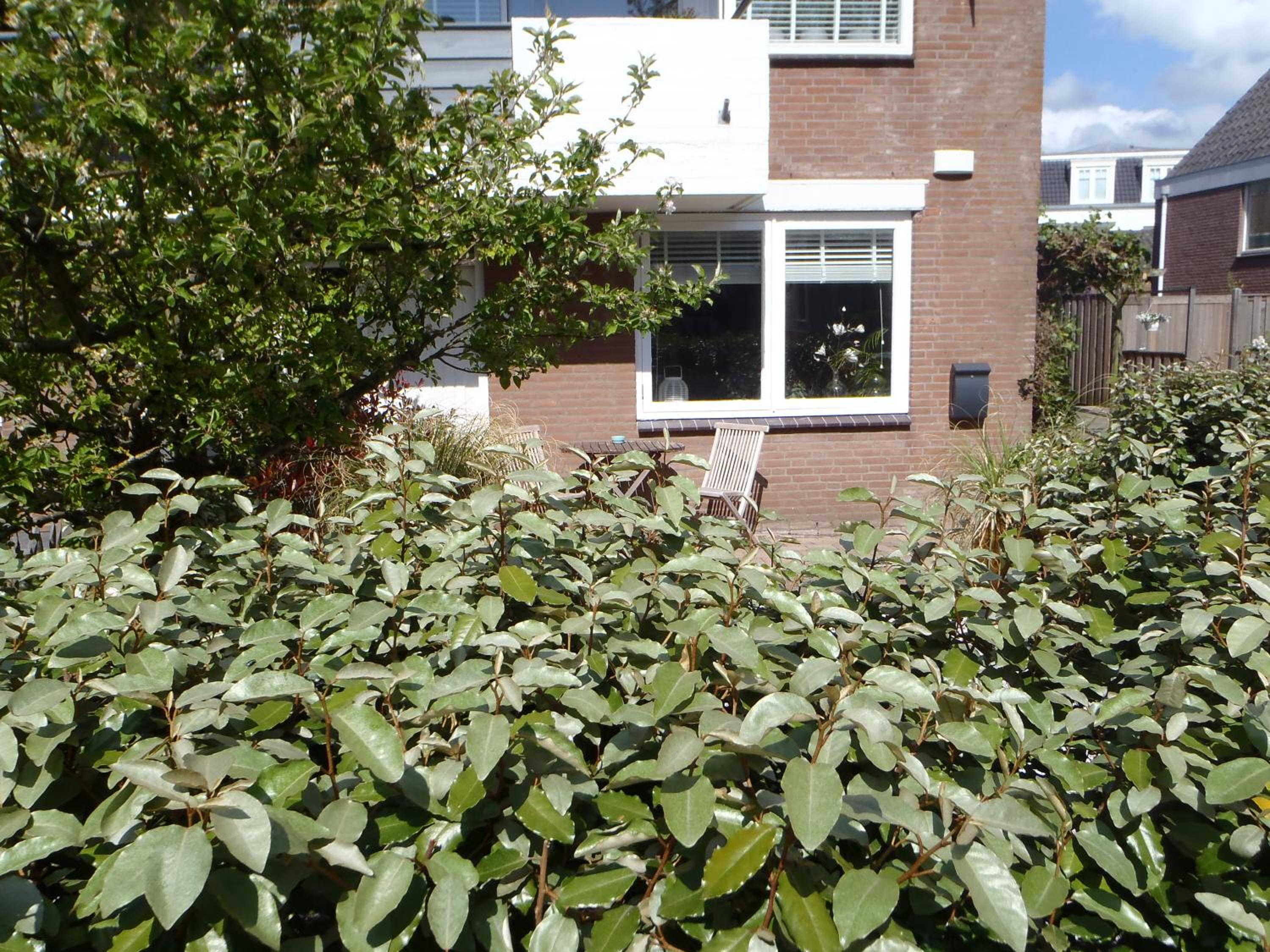 Photo 17