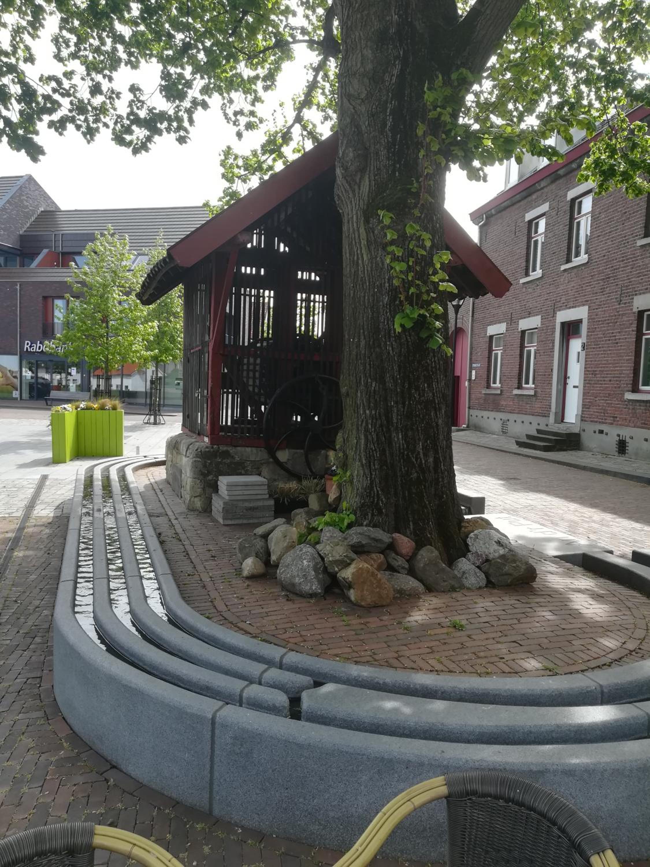 Photo 6
