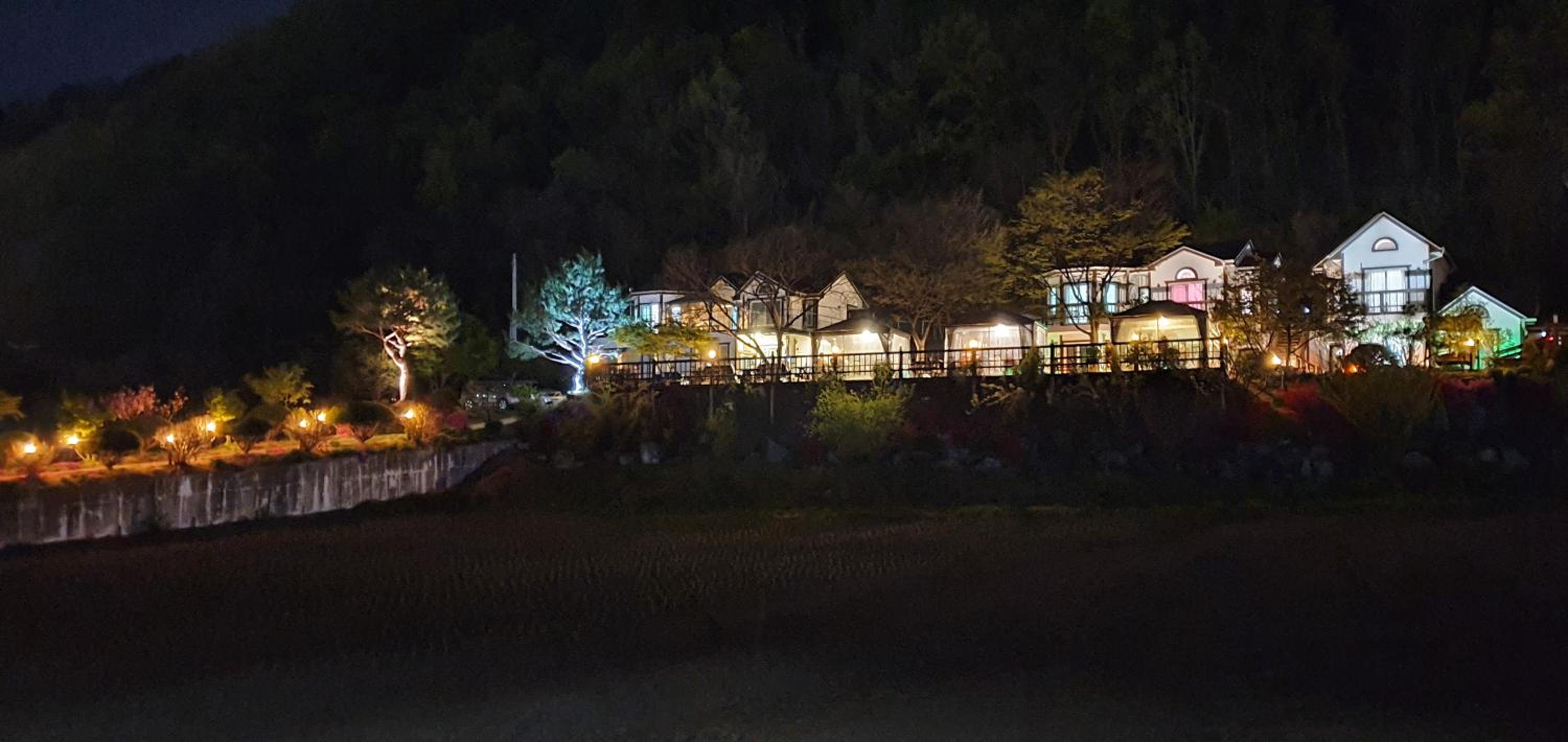 Forest of Color Pension