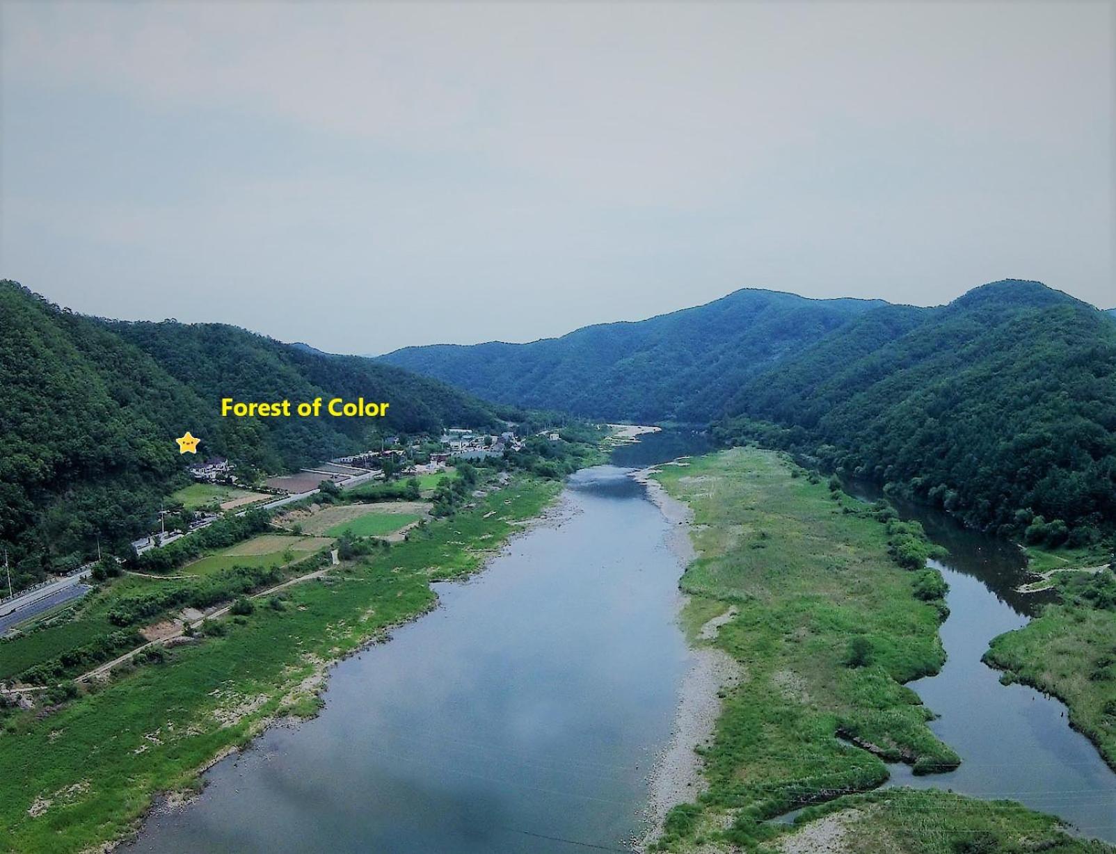 Forest of Color Pension