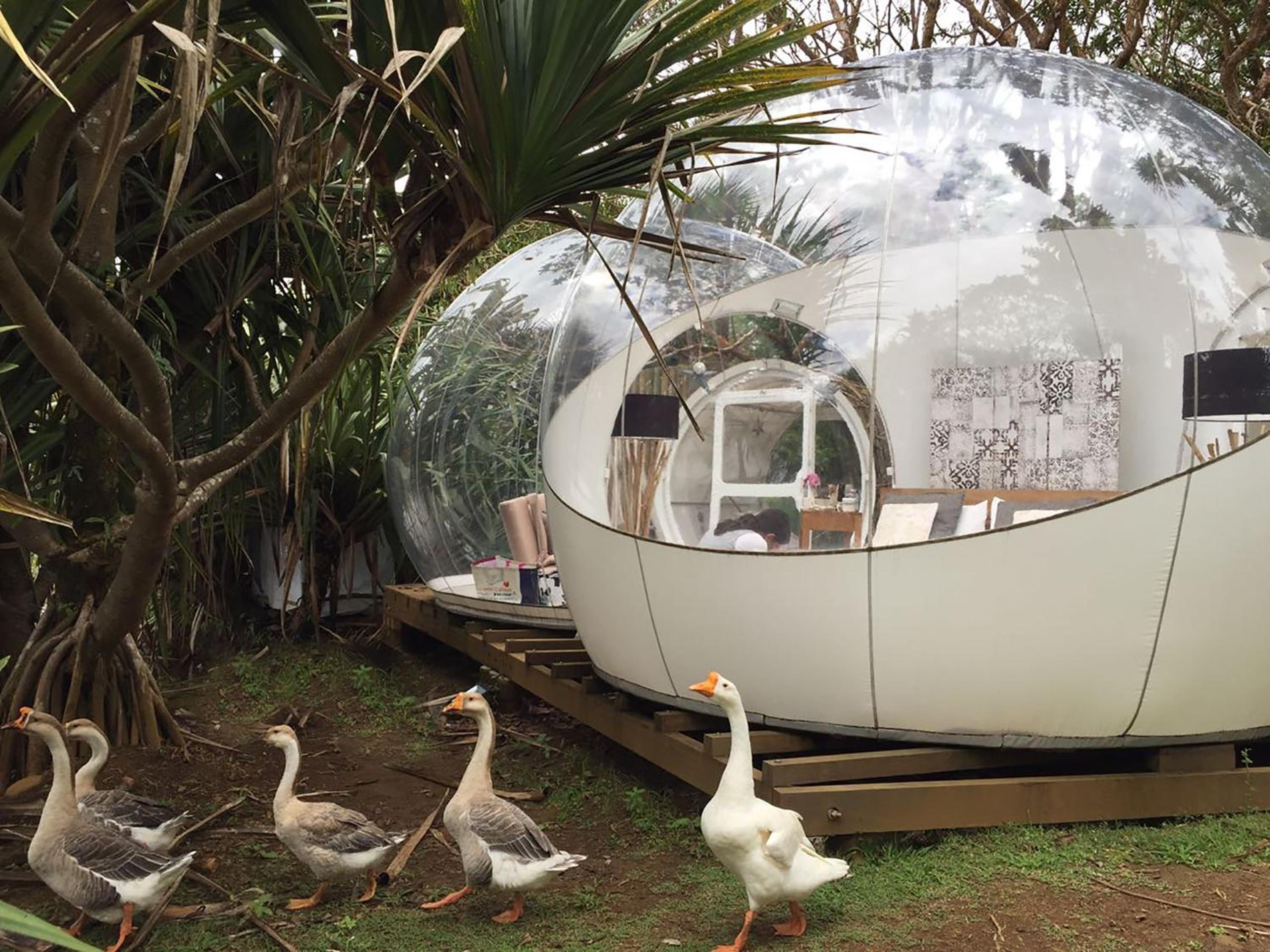 Bubble Lodge Bois Chéri Plantation