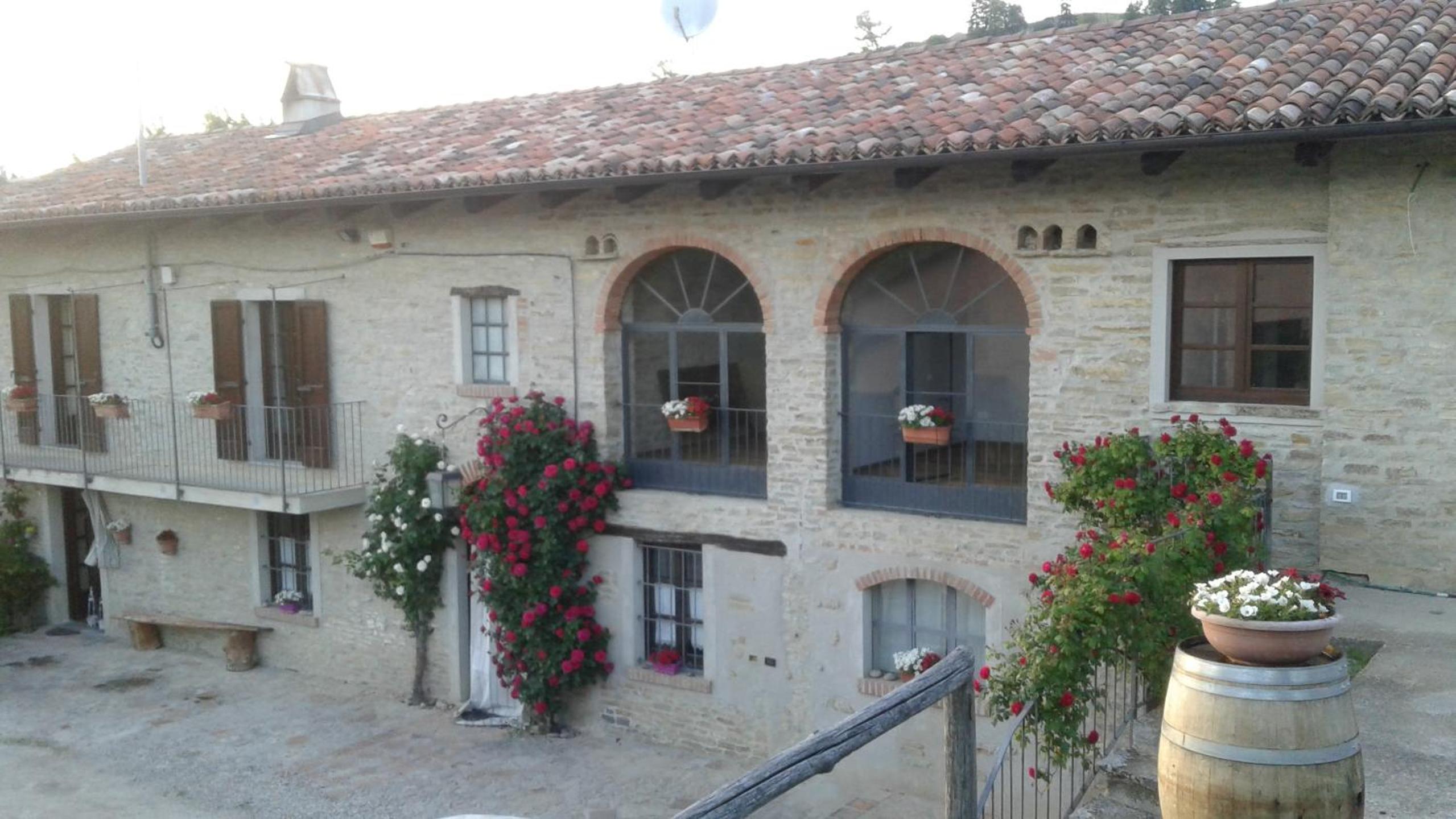 Photo 14