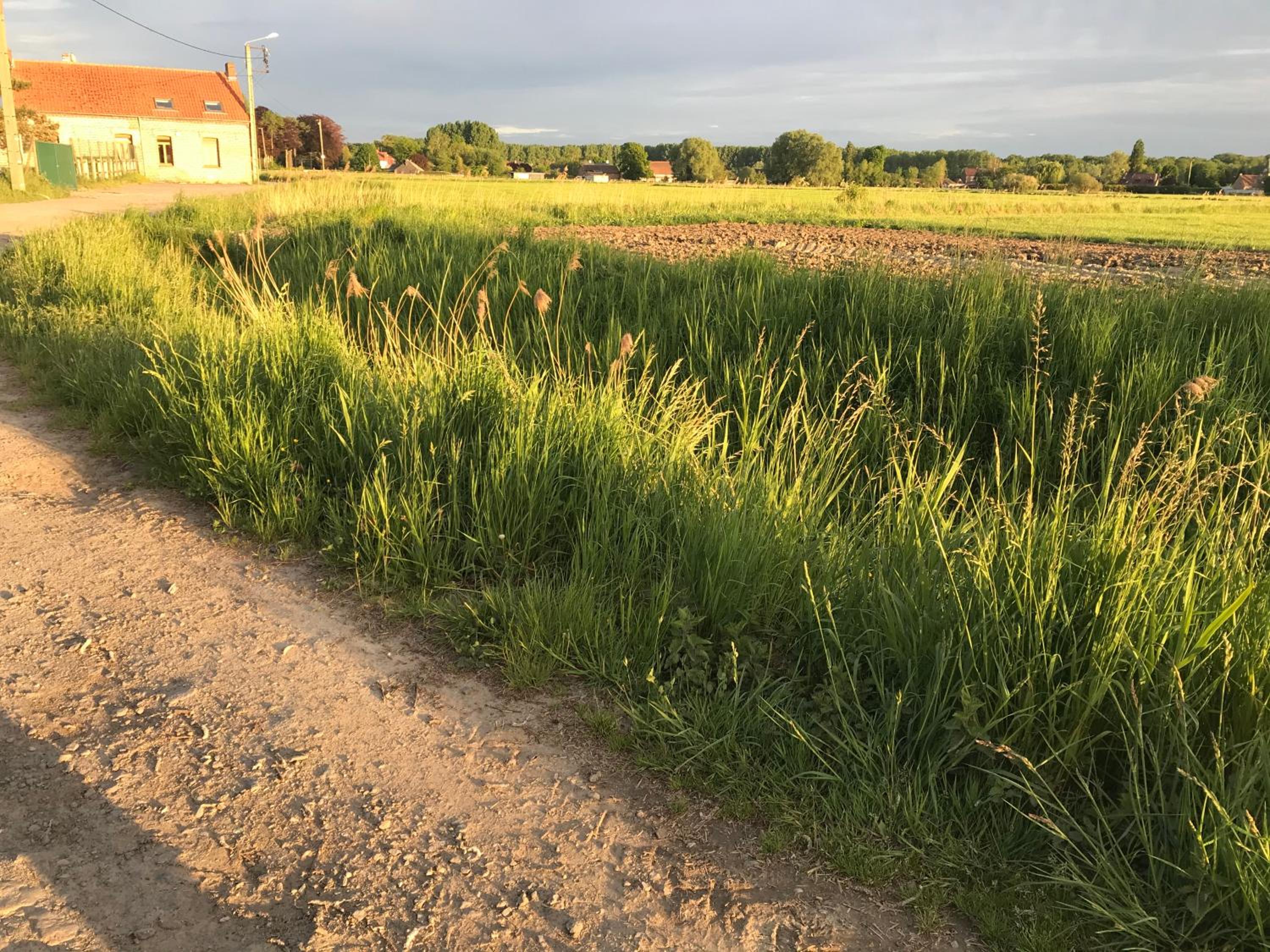 Gites du bien-hêtre, photo 18