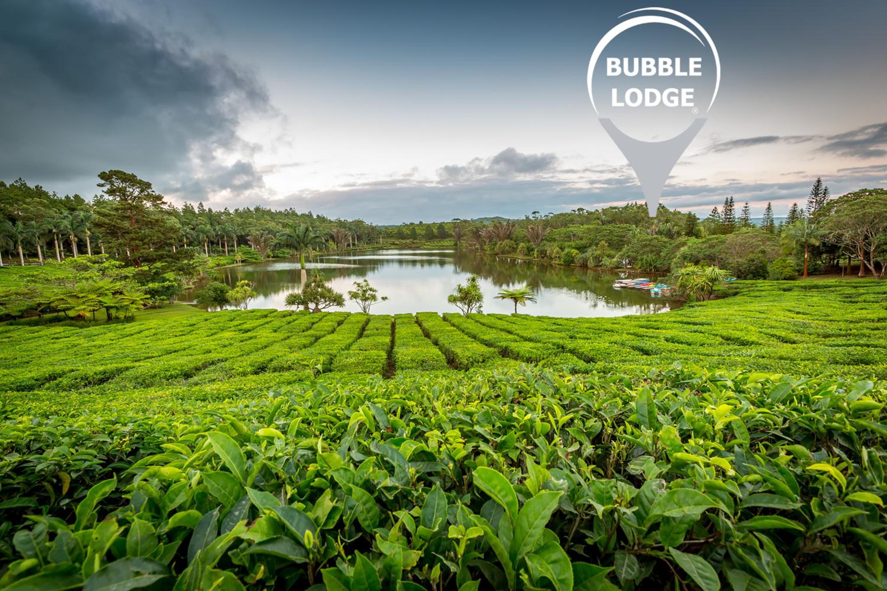 Bubble Lodge Bois Chéri Plantation
