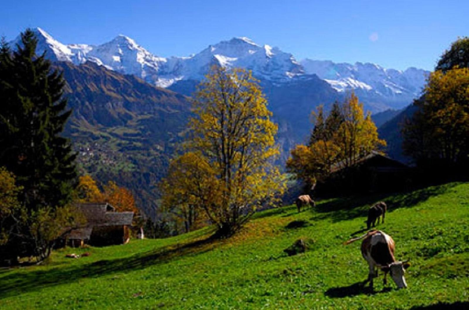 Chalet Gafri -Boutique B&B - comfort and hospitality - near Interlaken