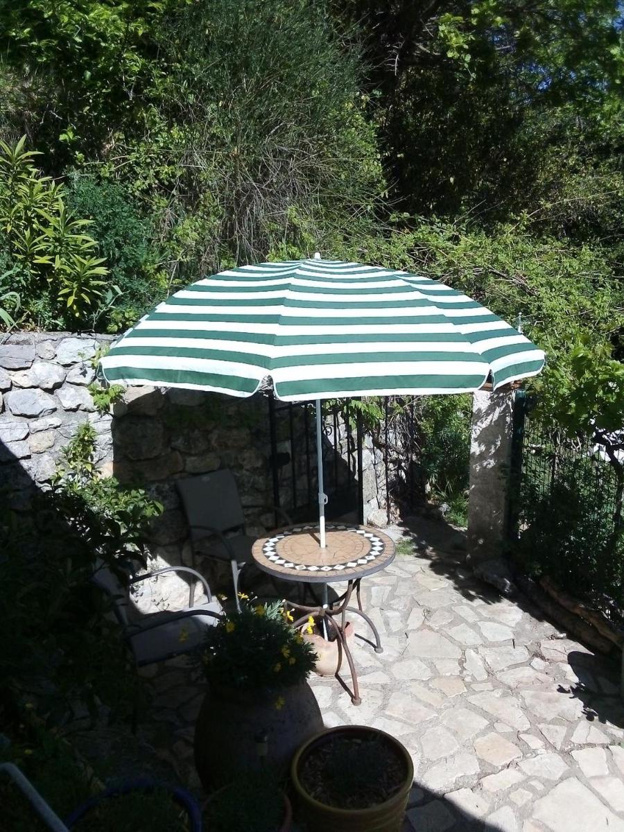 Photo 19