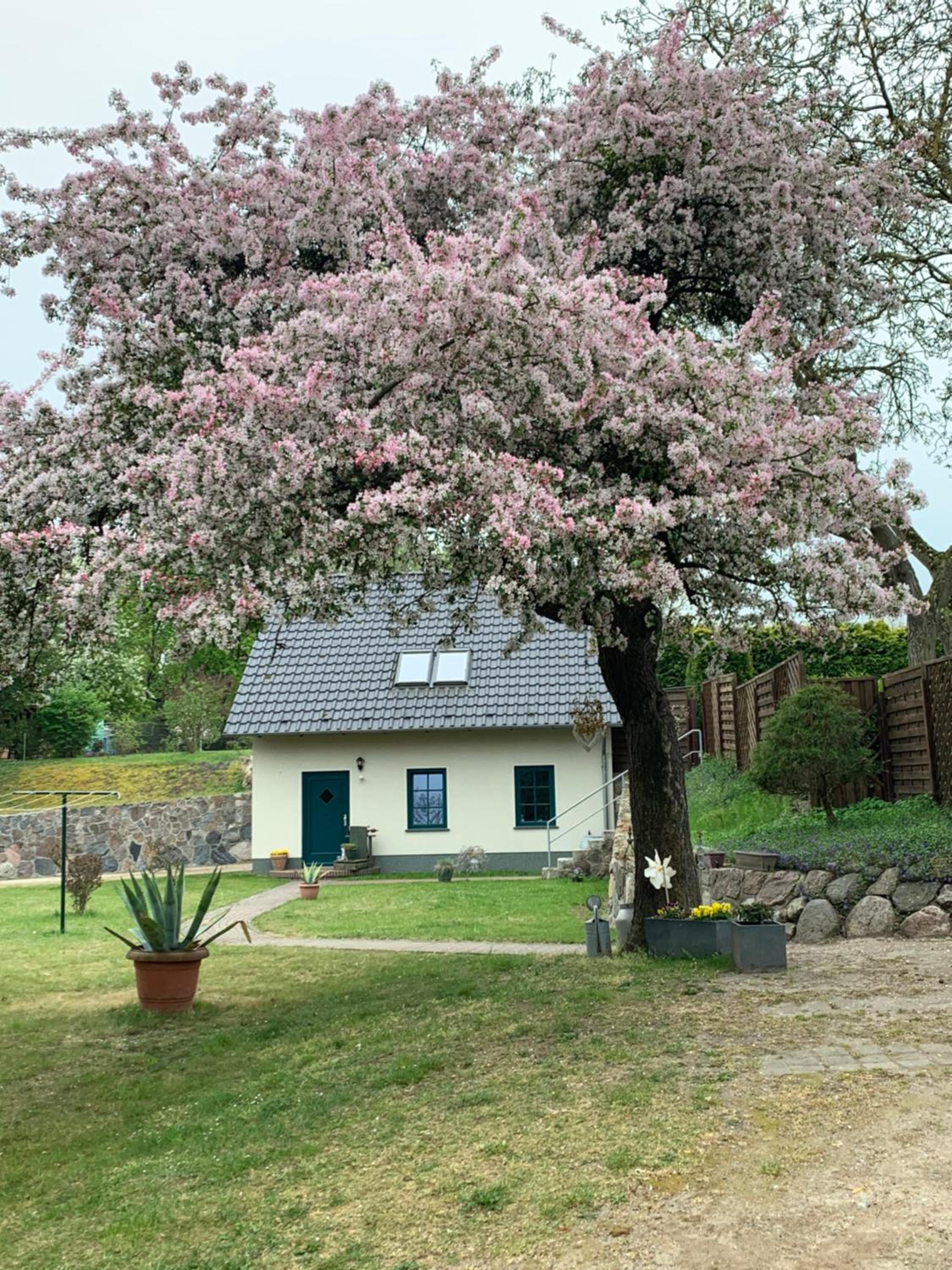 „Rentmeisterhaus Basedow“