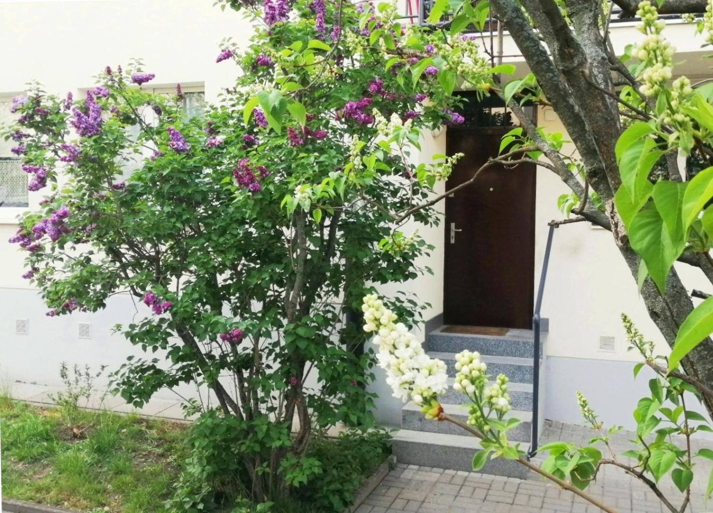 Metro Wilson Apartment, photo 4