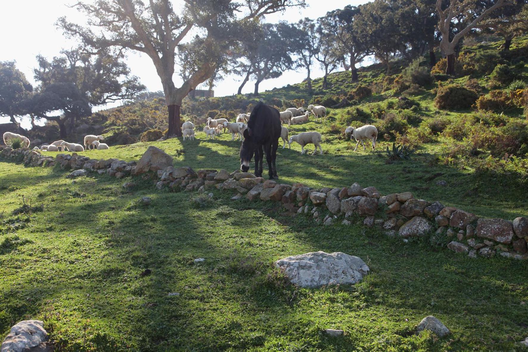 Encanto Rural con Jardín privado y Chimenea