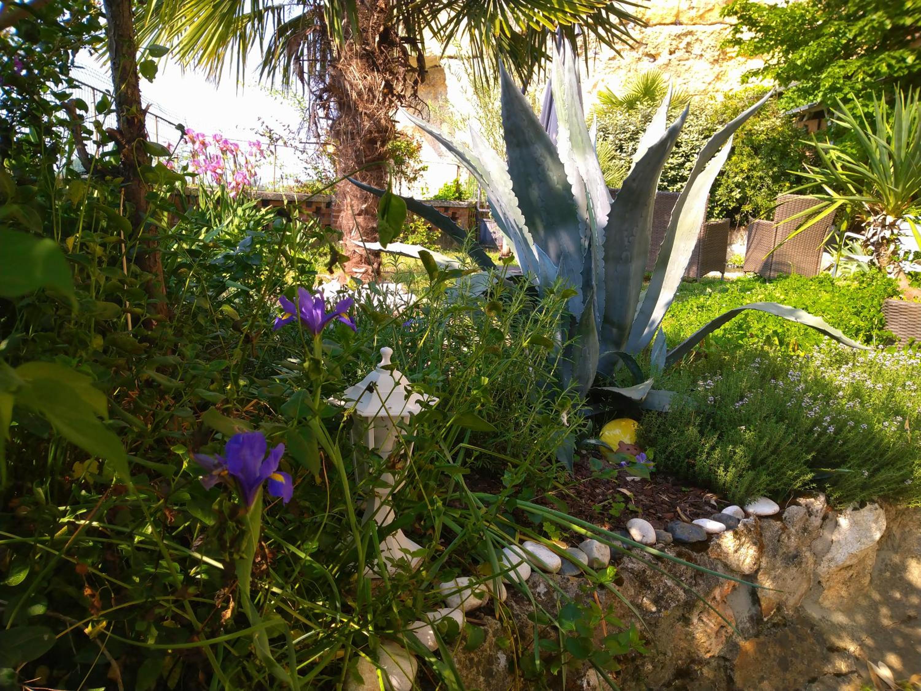 Le Gite de la Loire - Unique Troglodyte Stay, photo 91