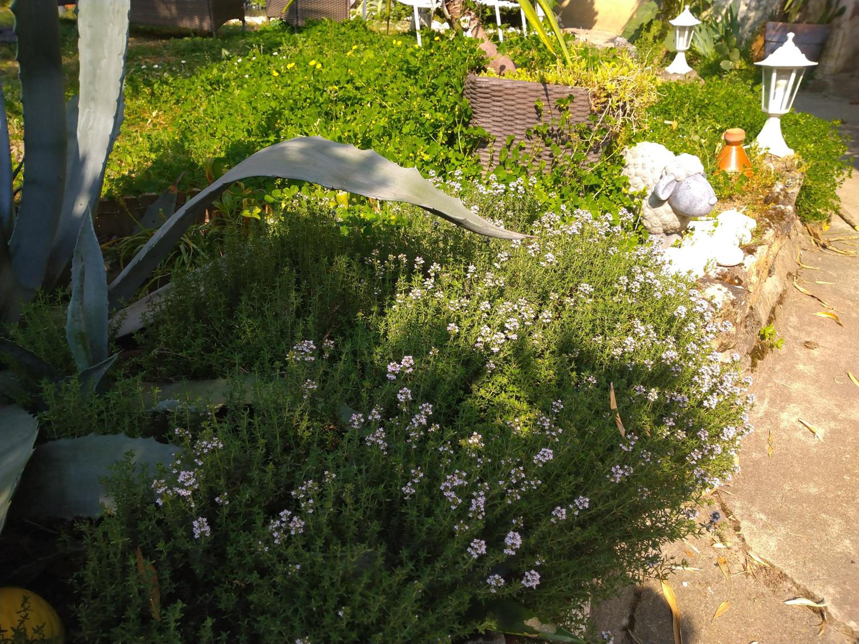 Photo 48