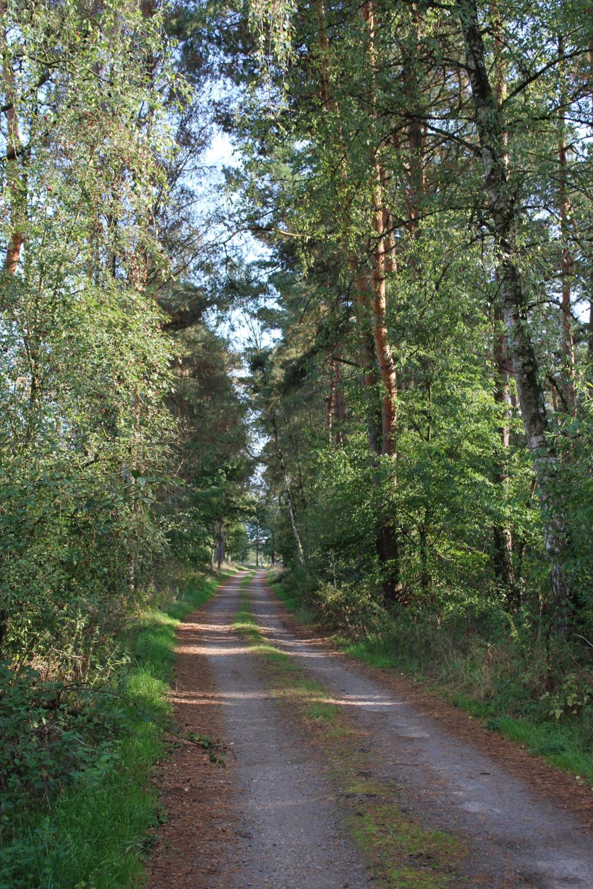 Bauernhofurlaub bei Familie Bokeloh