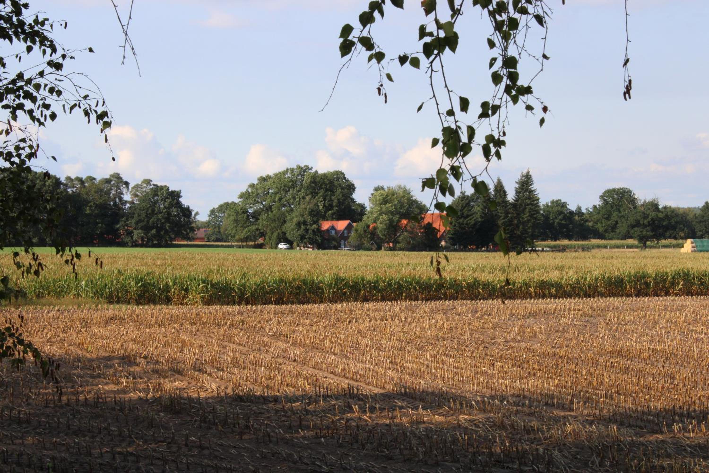Bauernhofurlaub bei Familie Bokeloh