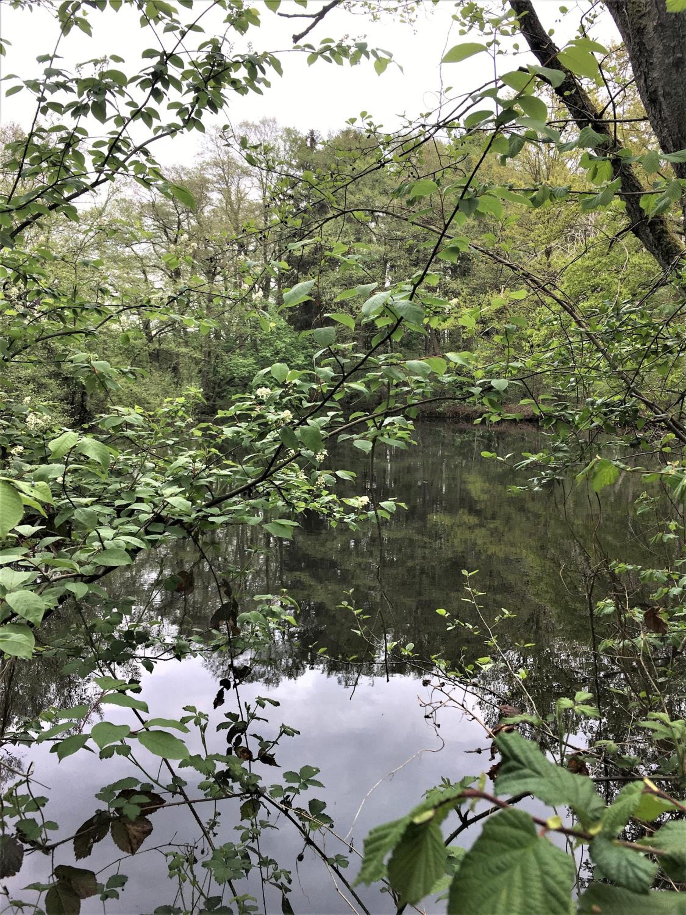 Bauernhofurlaub bei Familie Bokeloh
