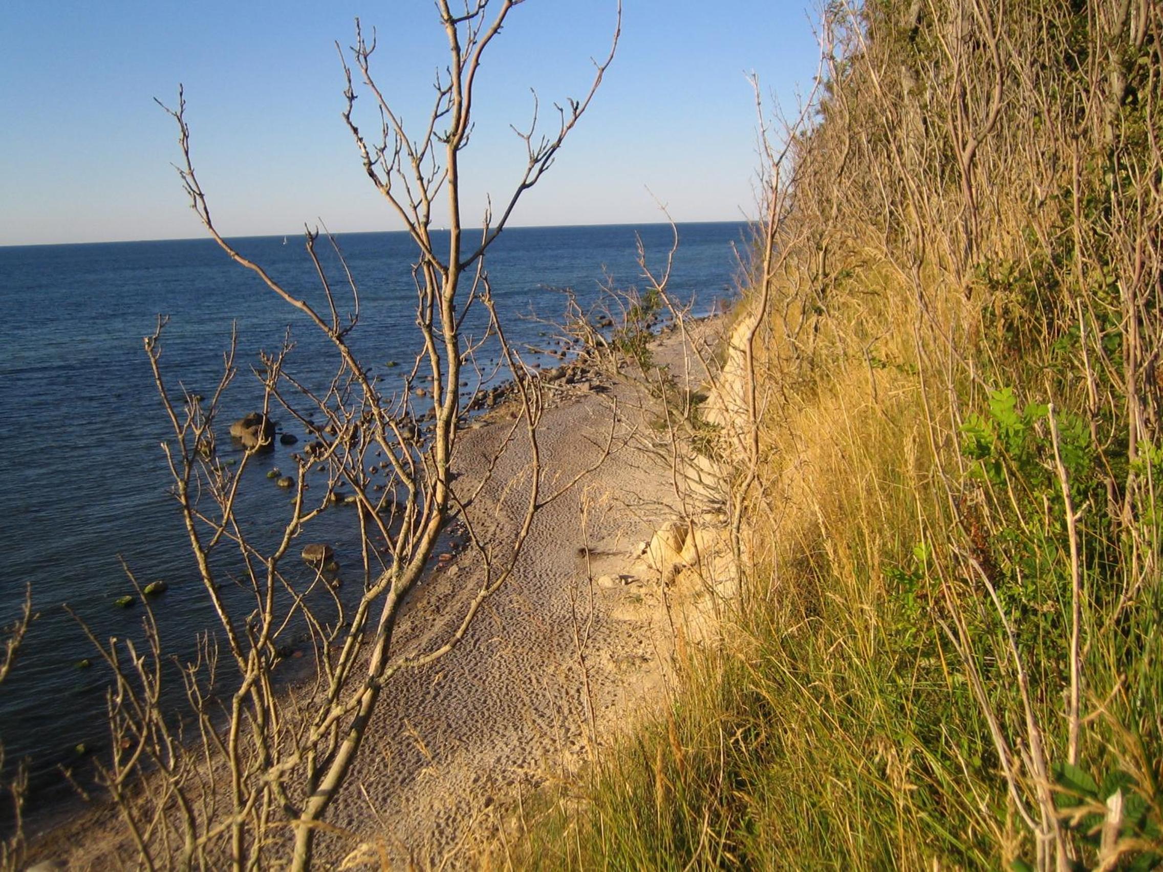 Photo 43