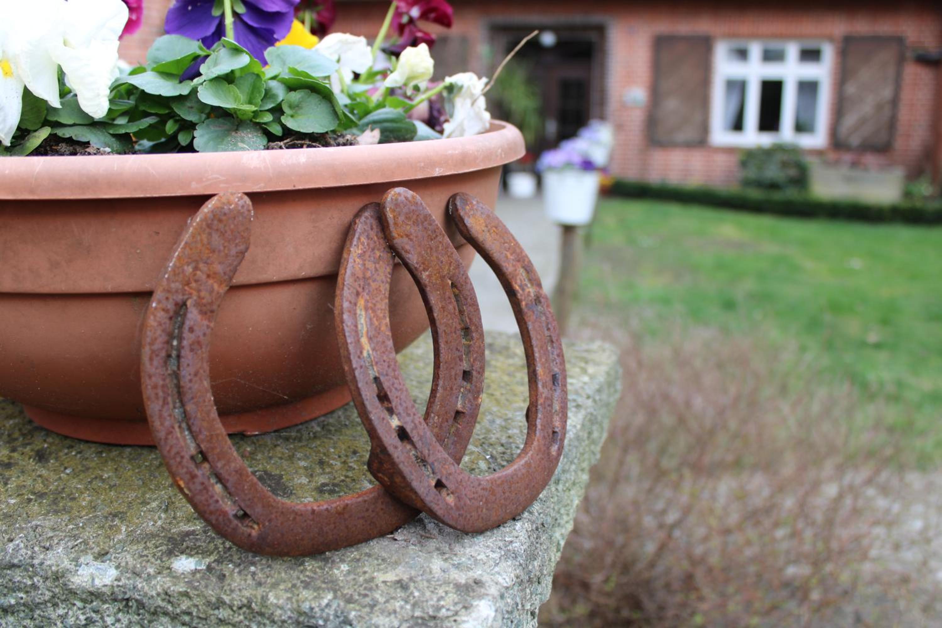 Bauernhofurlaub bei Familie Bokeloh