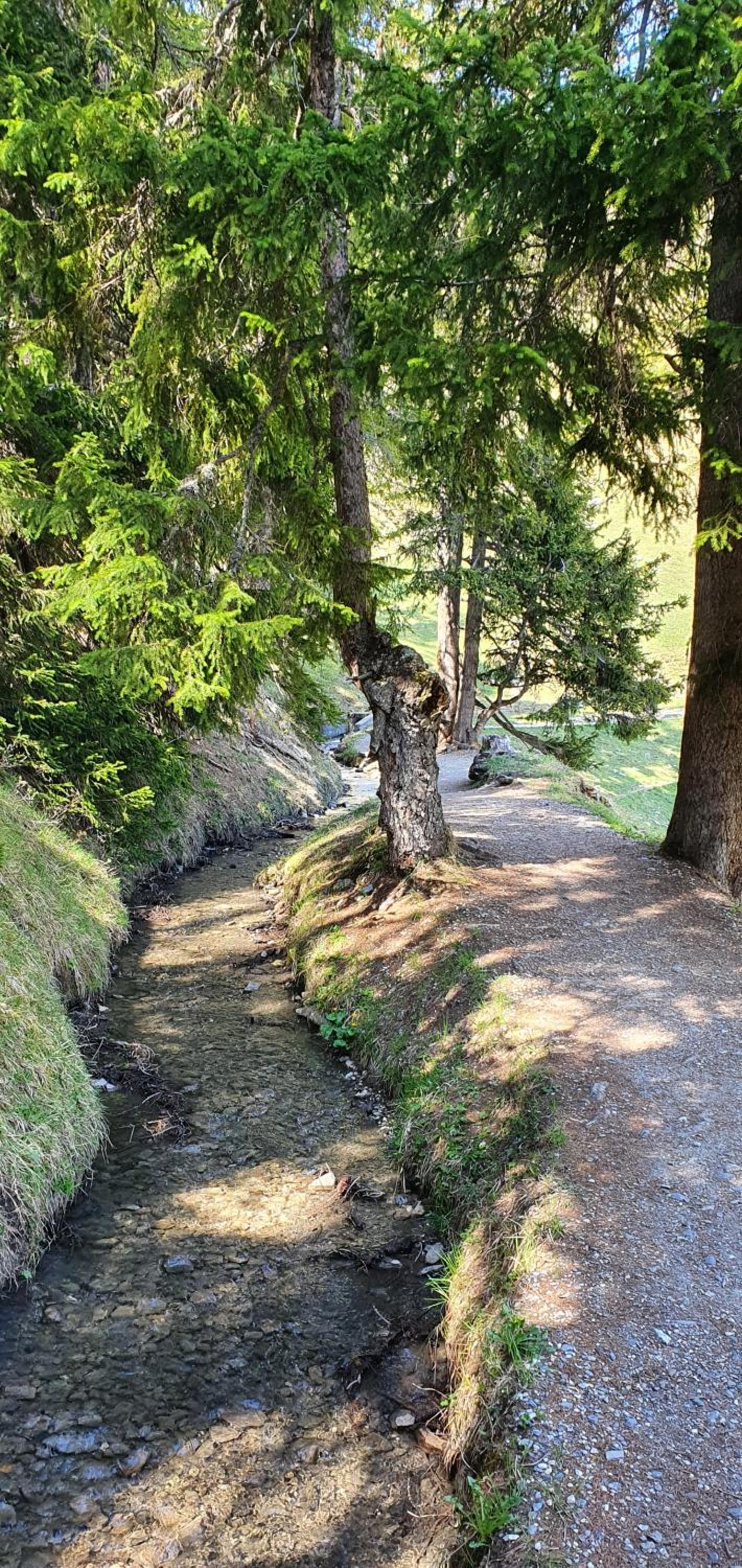 Photo 42