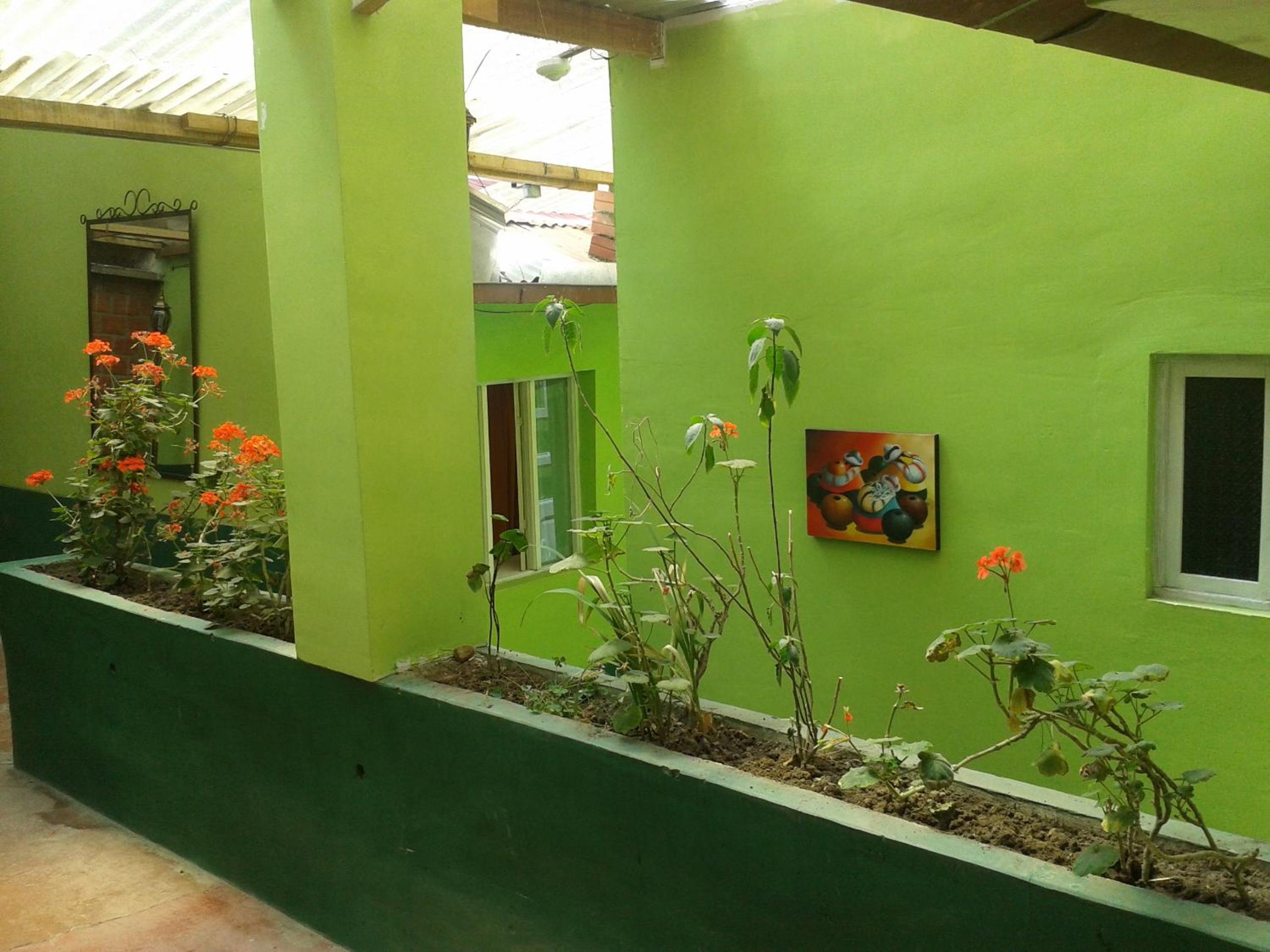 Photo 41