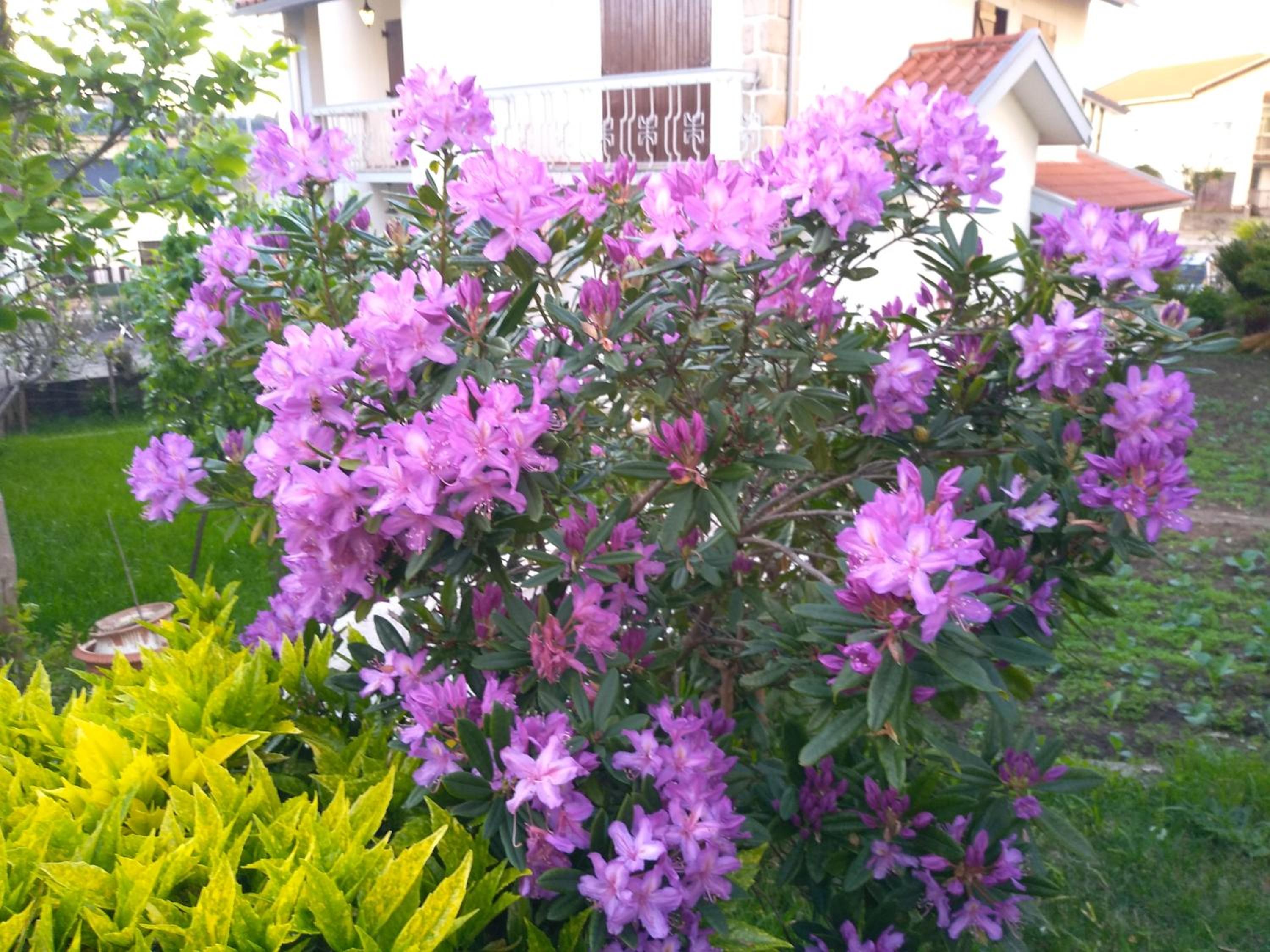 Photo 83